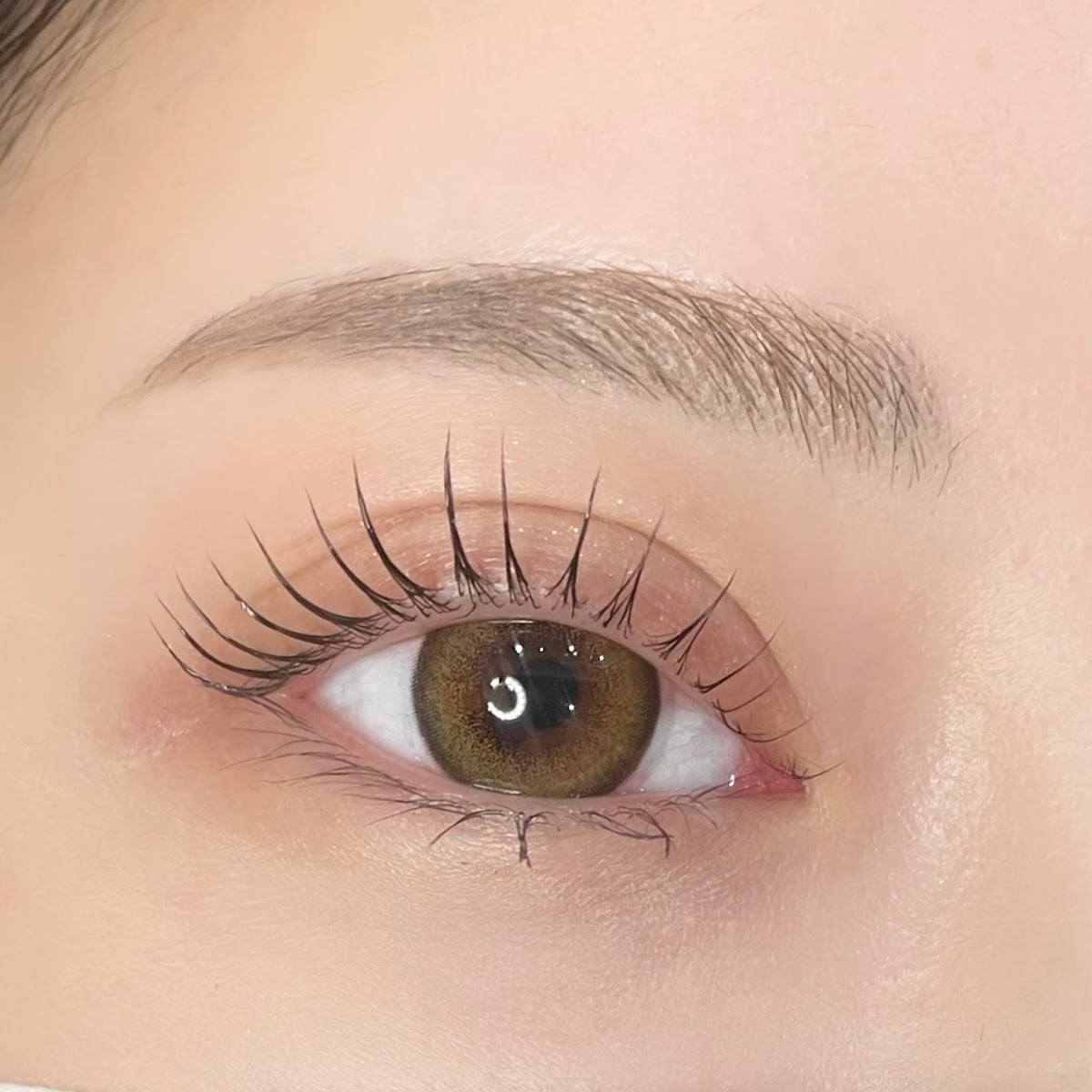 PONO eyebrows & eyelash
