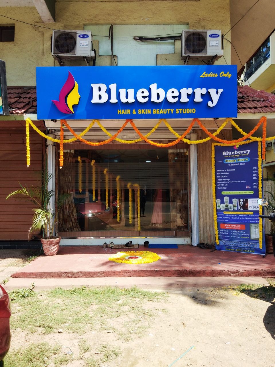 Blueberry Hair and Skin Beauty Studio