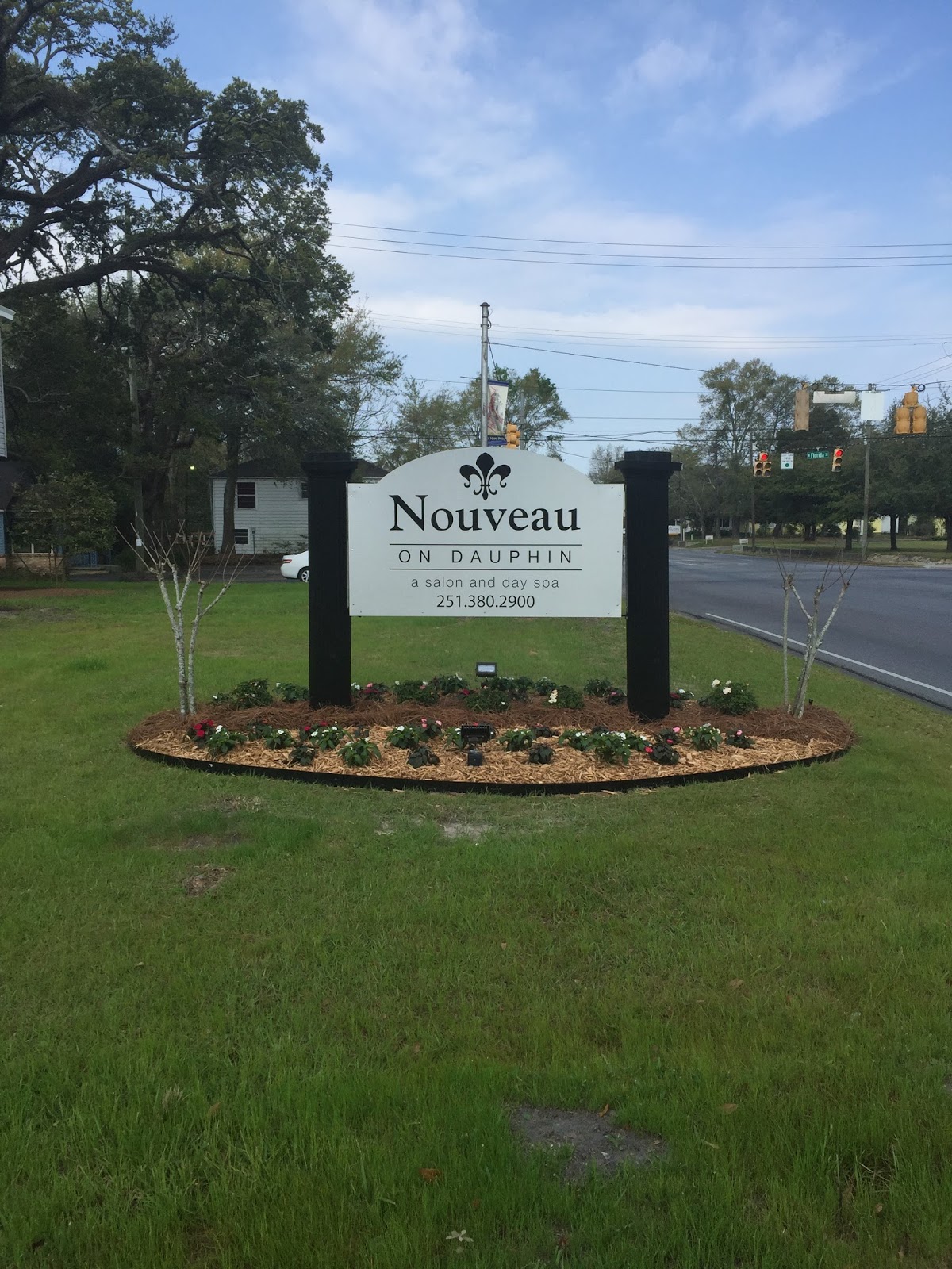 Nouveau on Dauphin