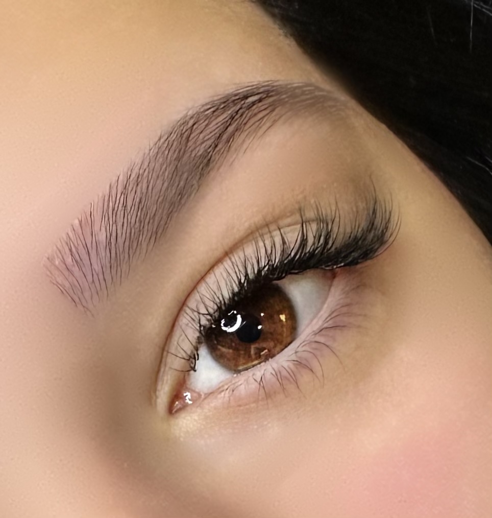 Neda Lash Studio