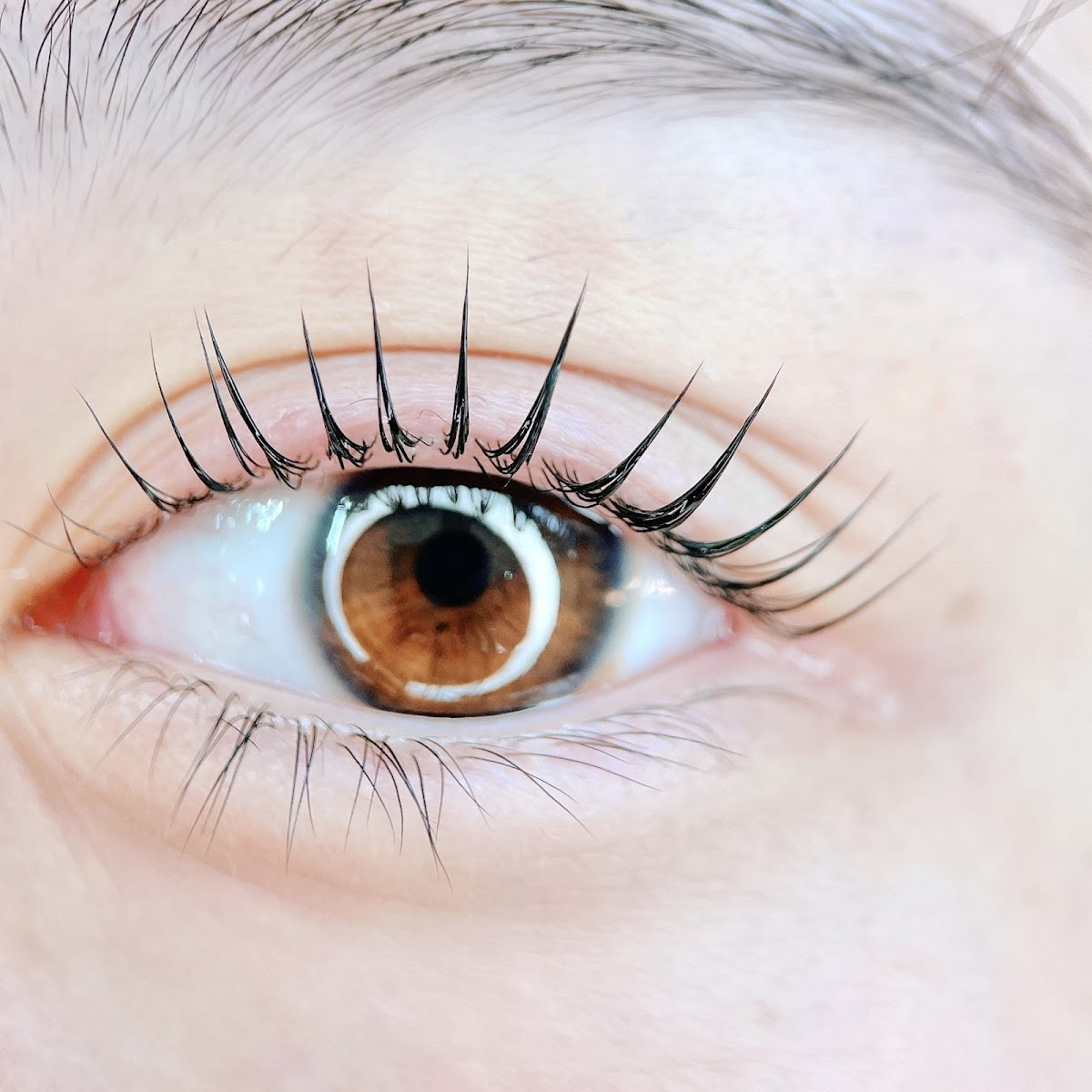 eyelash Bella