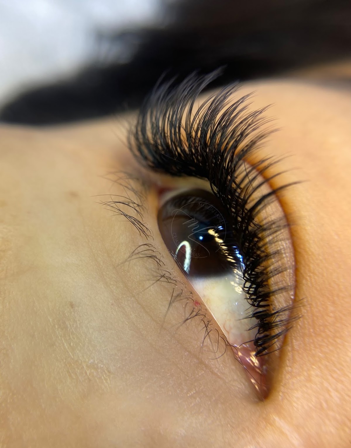 Musa Lash Studio