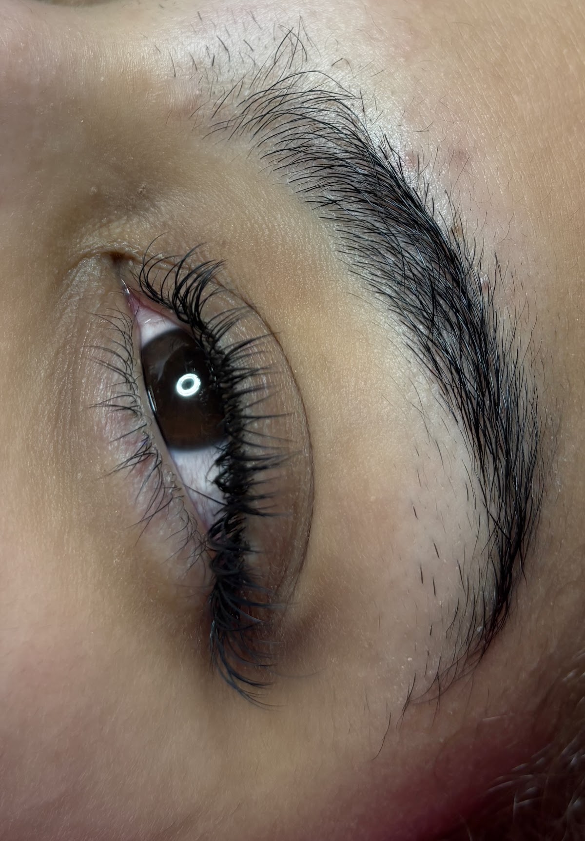 Brows Ave LLC
