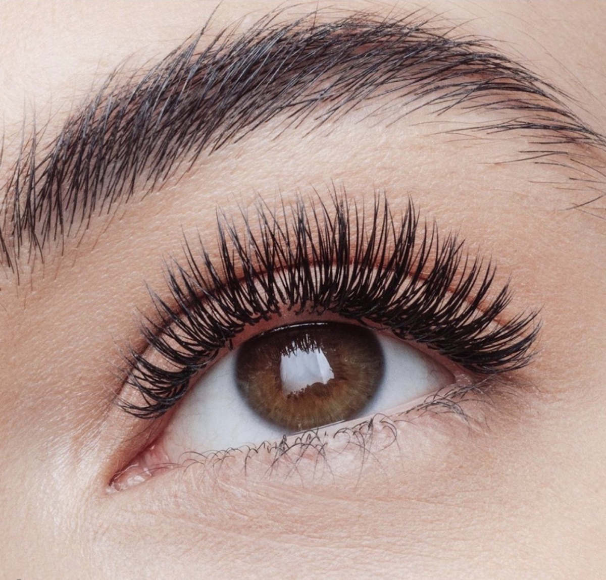 Refined Artistry | Lashes & Brows