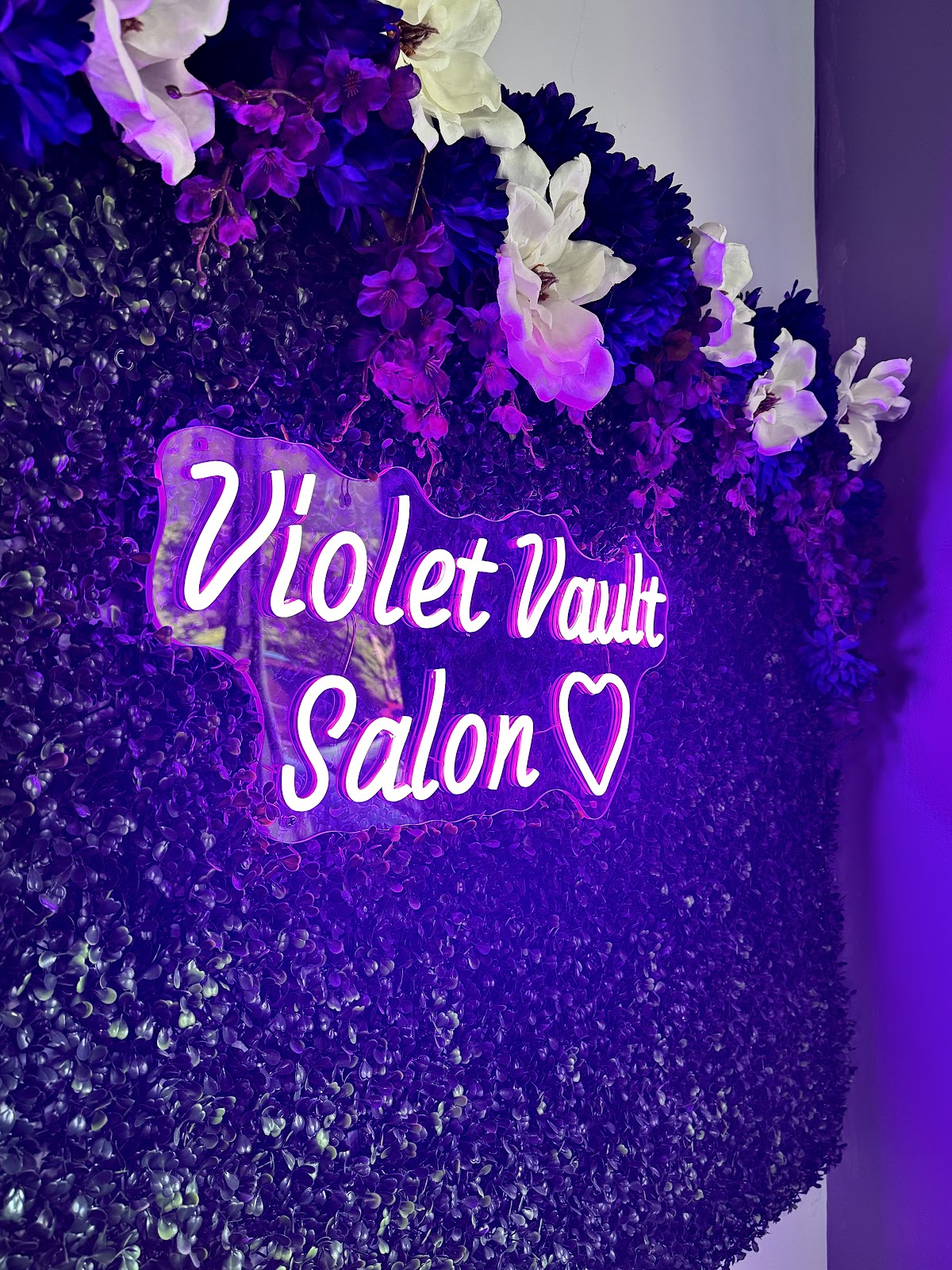 Violet Vault Salon