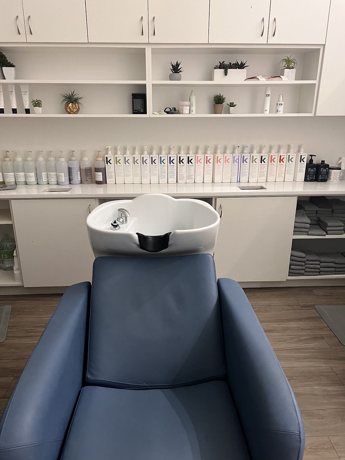Wild Ivy Blow Dry Bar