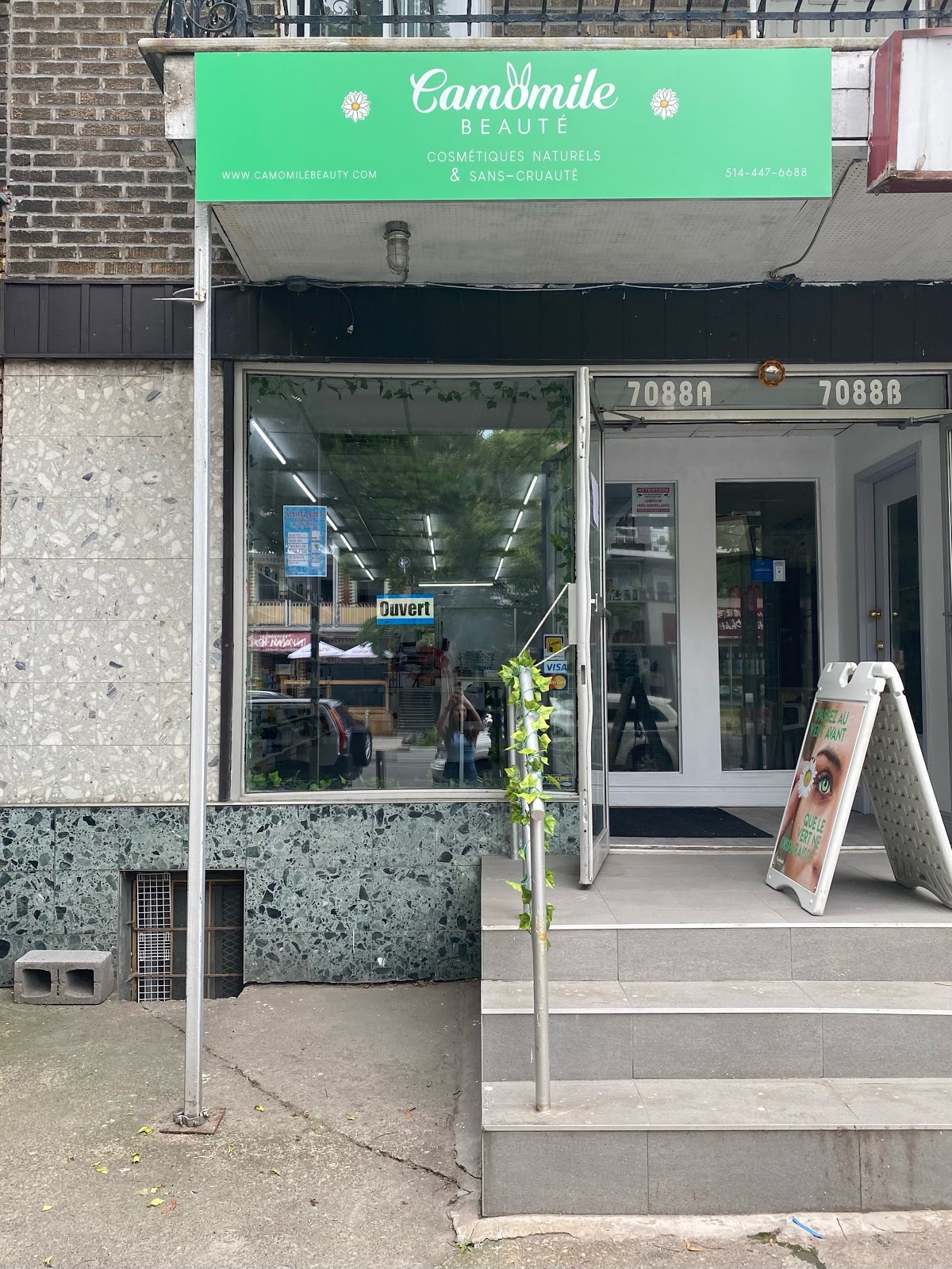 Camomile Beauty Store