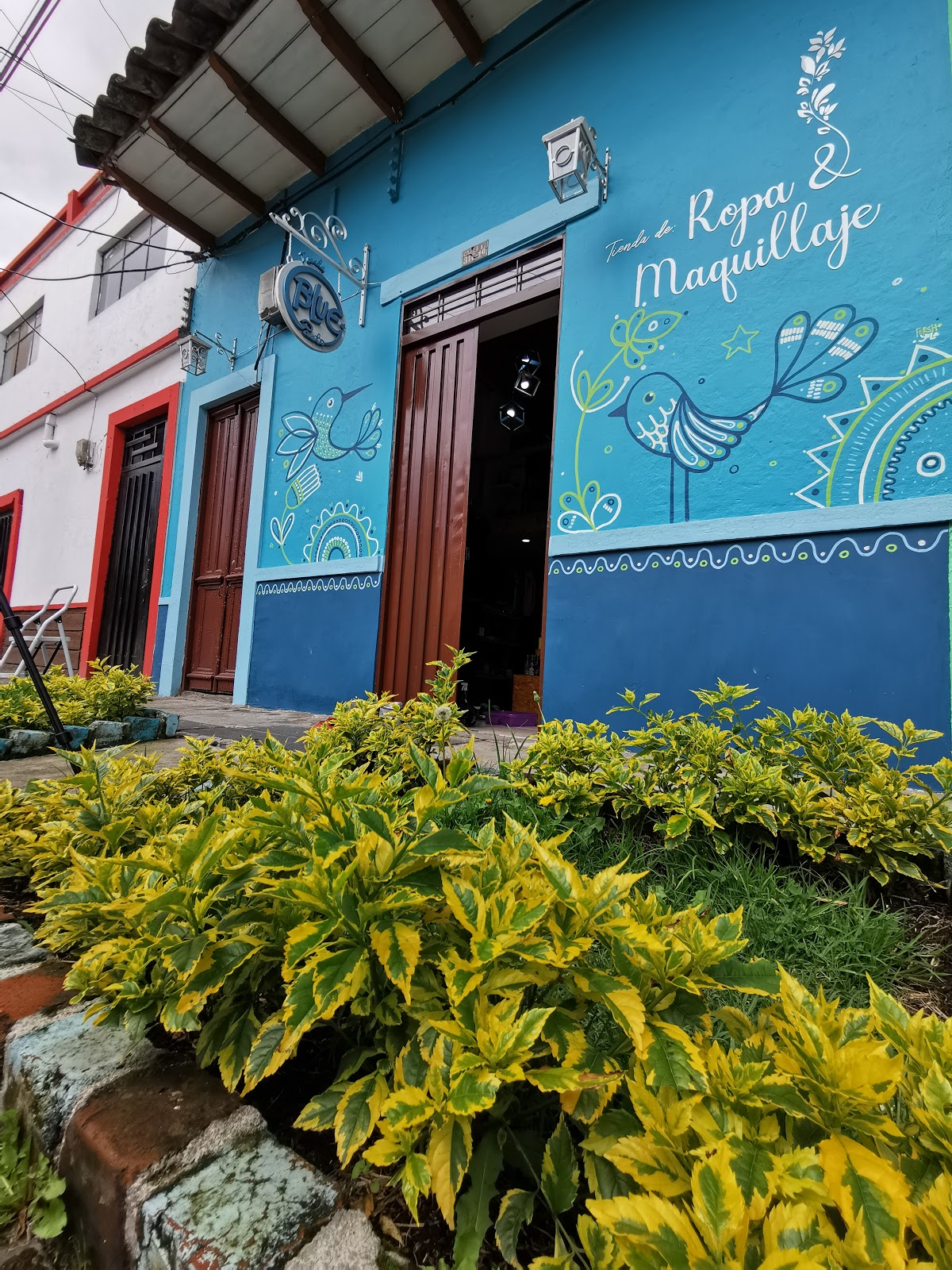 Tienda Blue Pasto