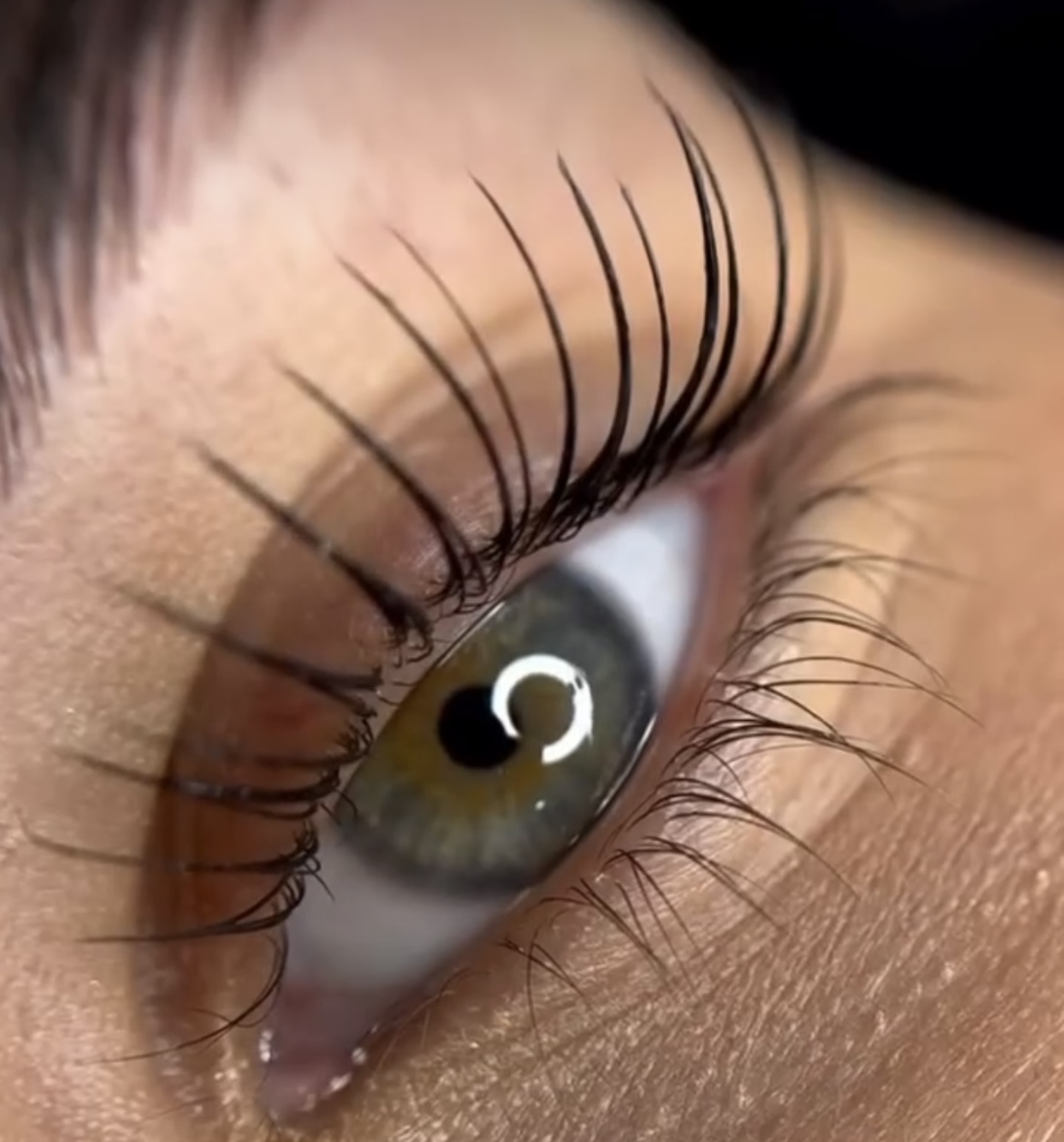 Lashes Beauty