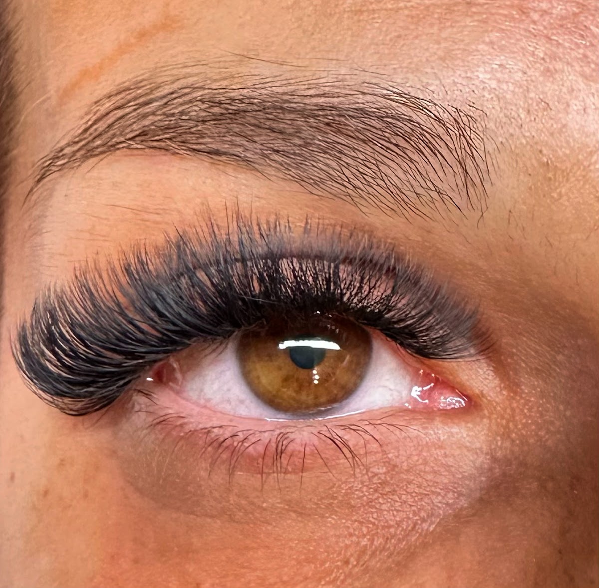 lash.artist.by.sr
