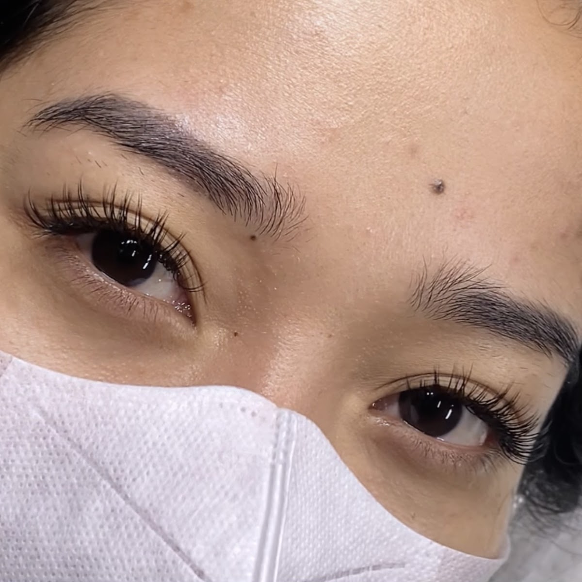 ADOR Lash Brows Makeup