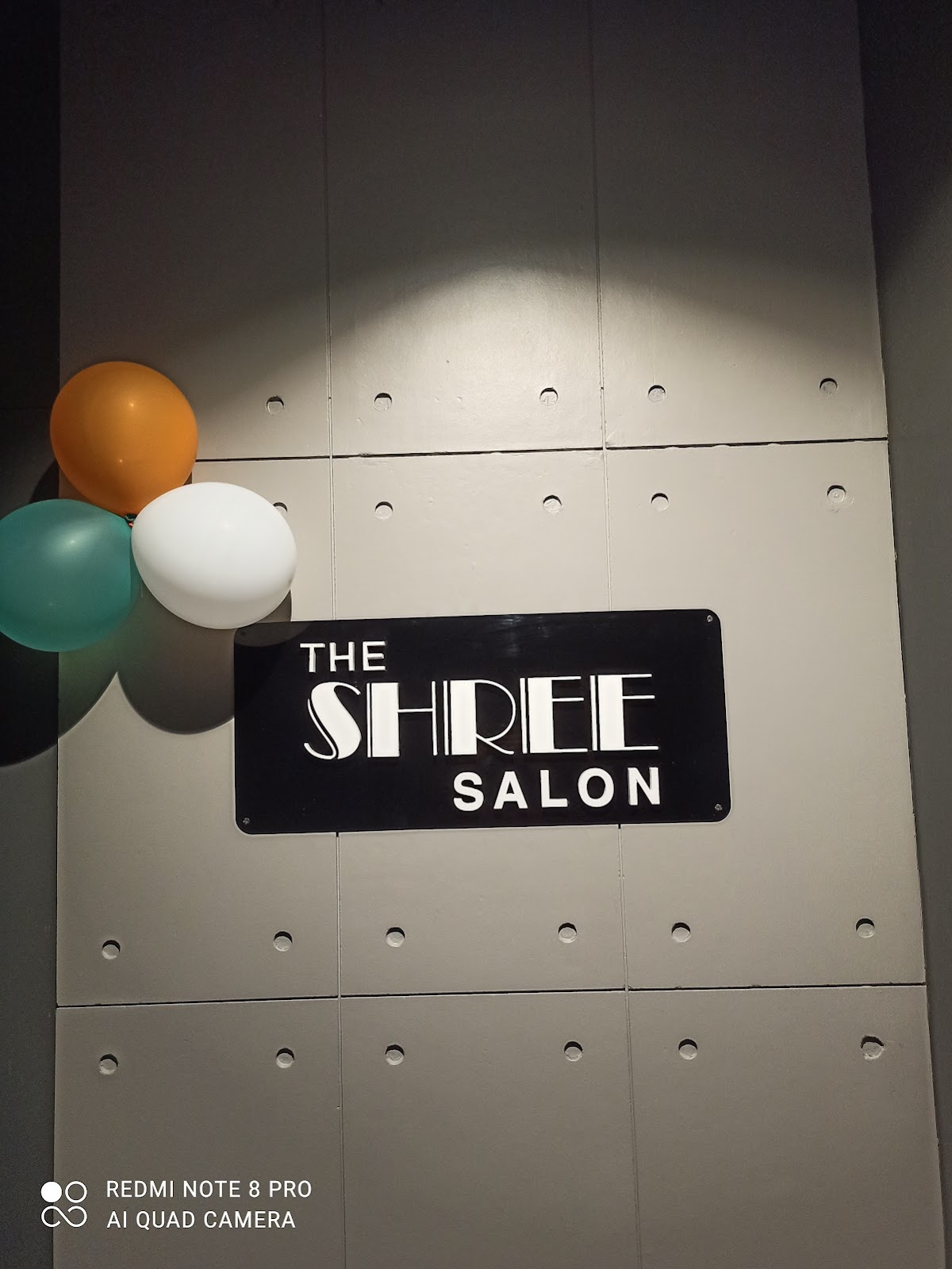 The Shree Salon L'oreal Professional