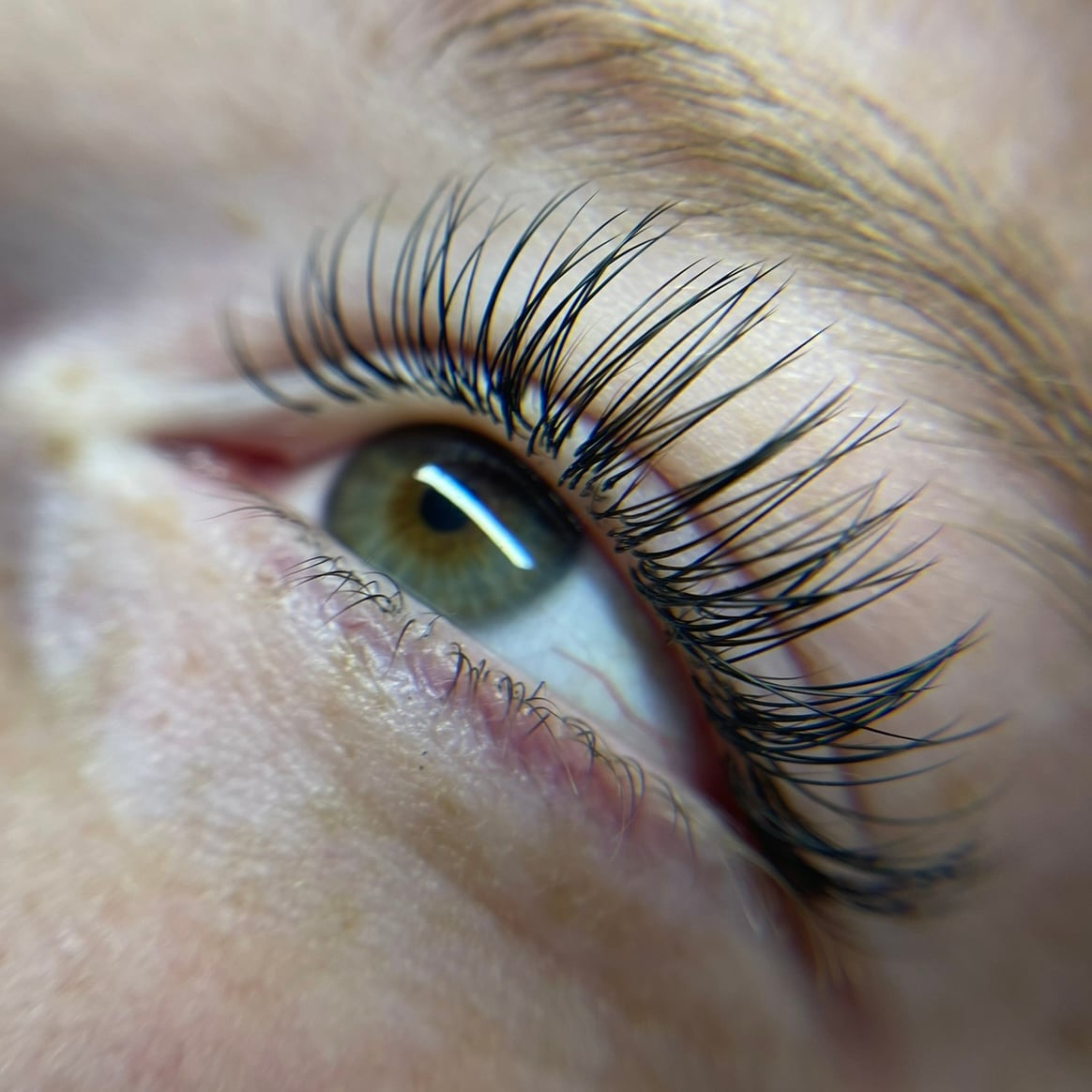 Divine Lash Bar