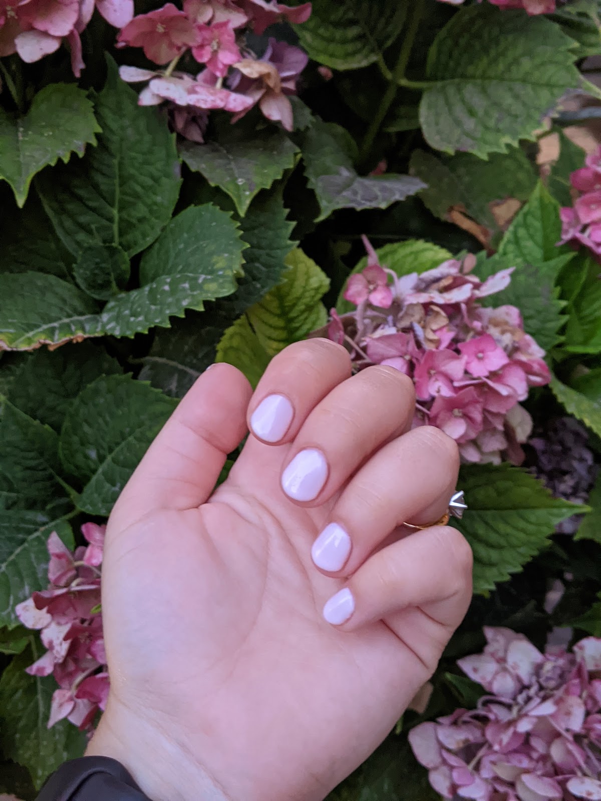 Estheva