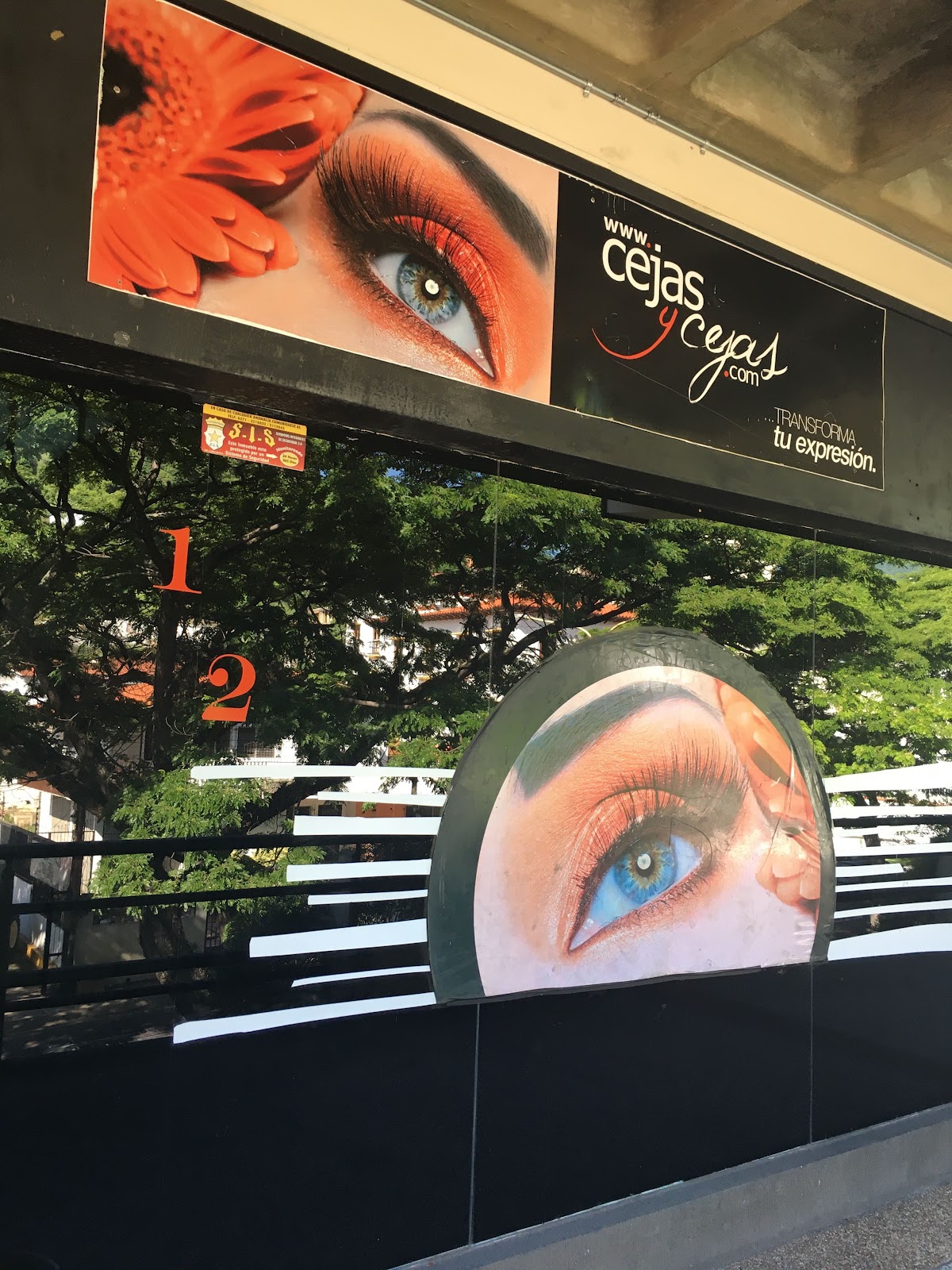 Cejas Valera