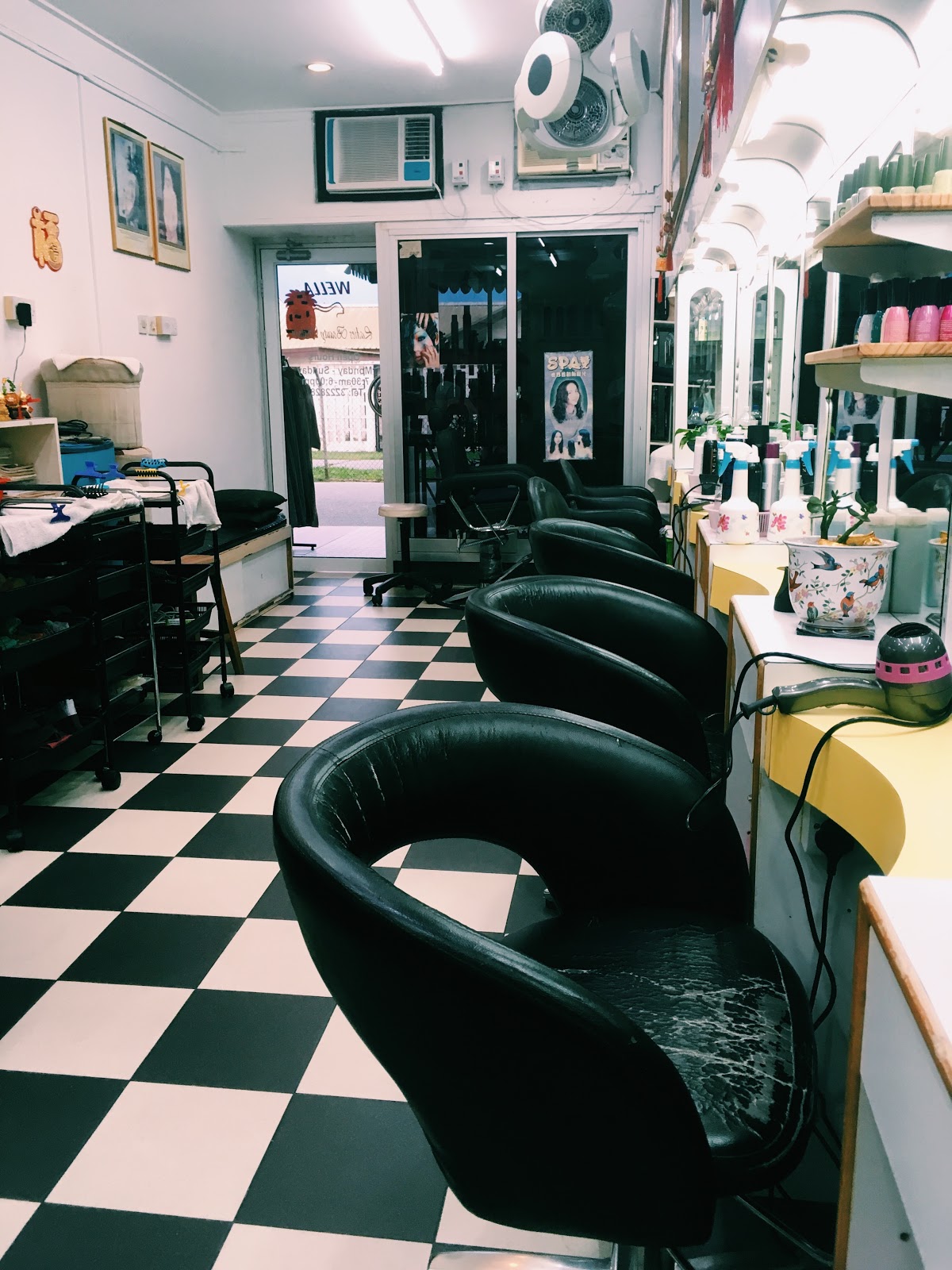 Ladies Beauty Saloon Seria