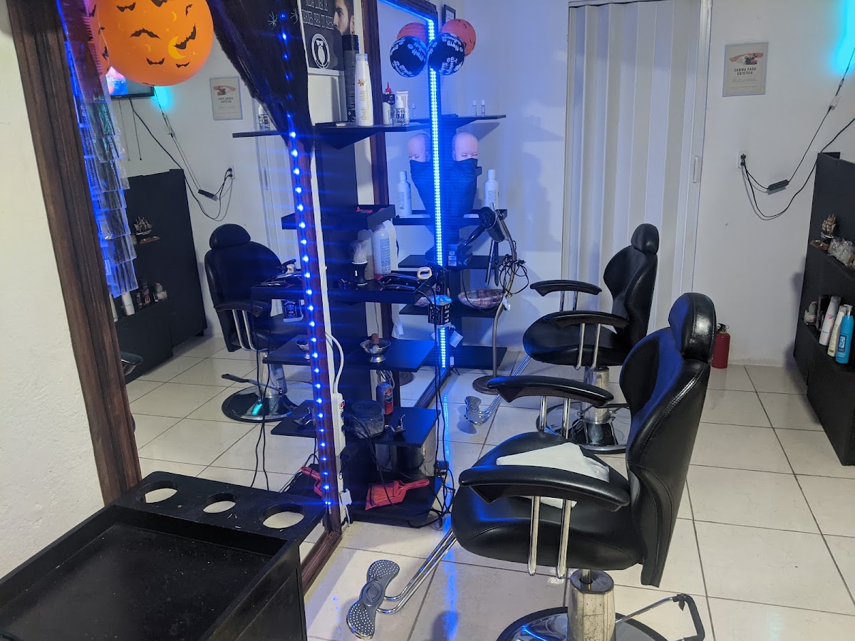 Elegant Dream Studio