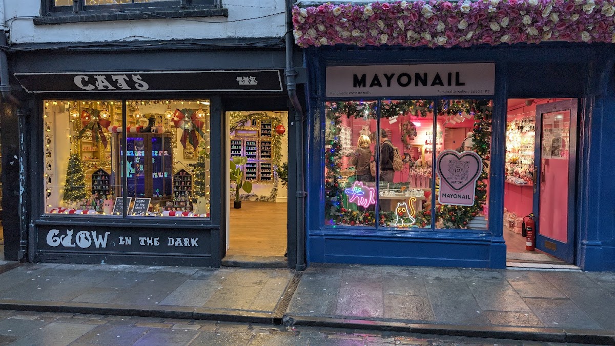 Mayonail