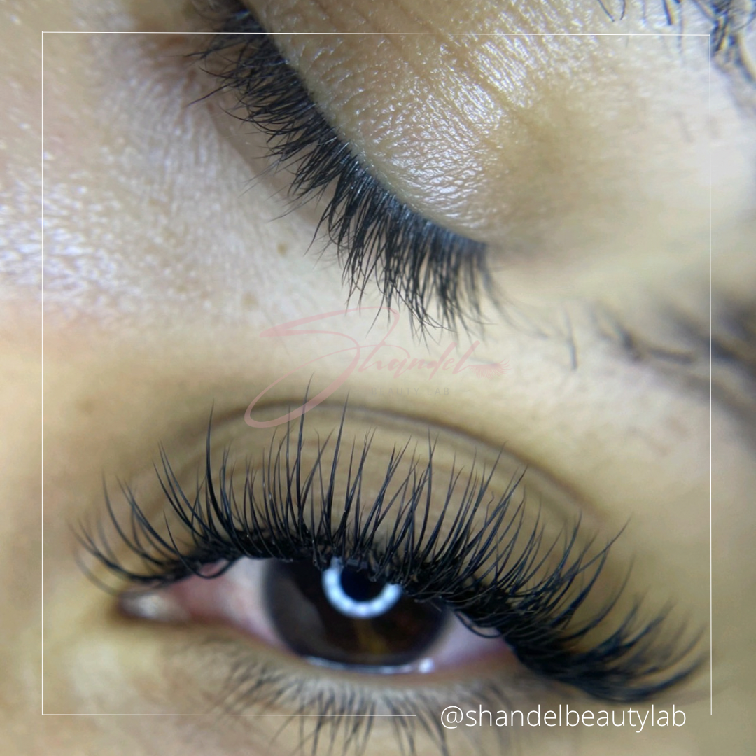 Shandel Beauty Lab