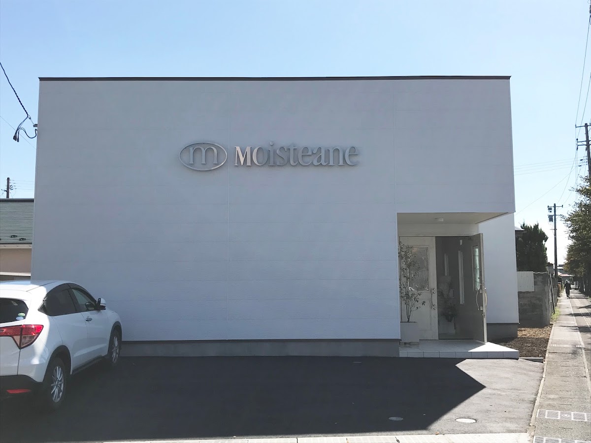 Moisteane Oshu Salon