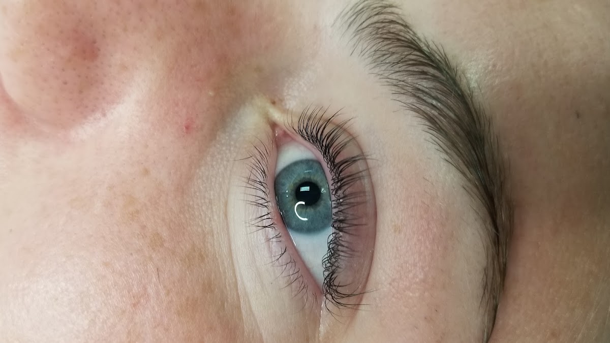Up Brow Beauty By Unique Precision