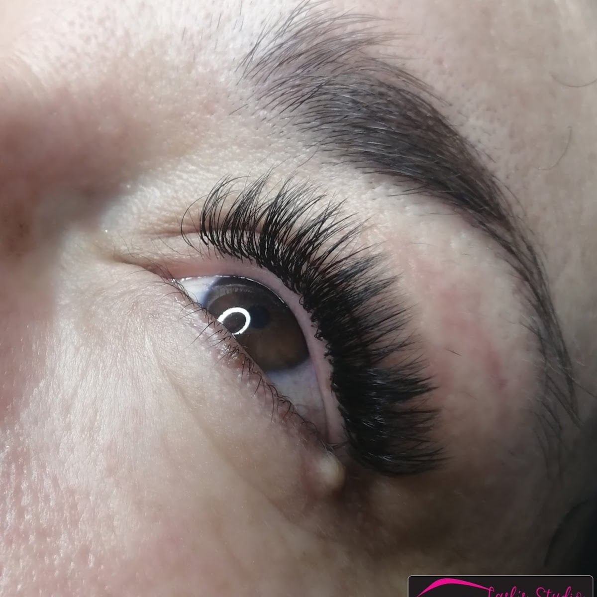 Lash's Studio by Evelyn Monroy