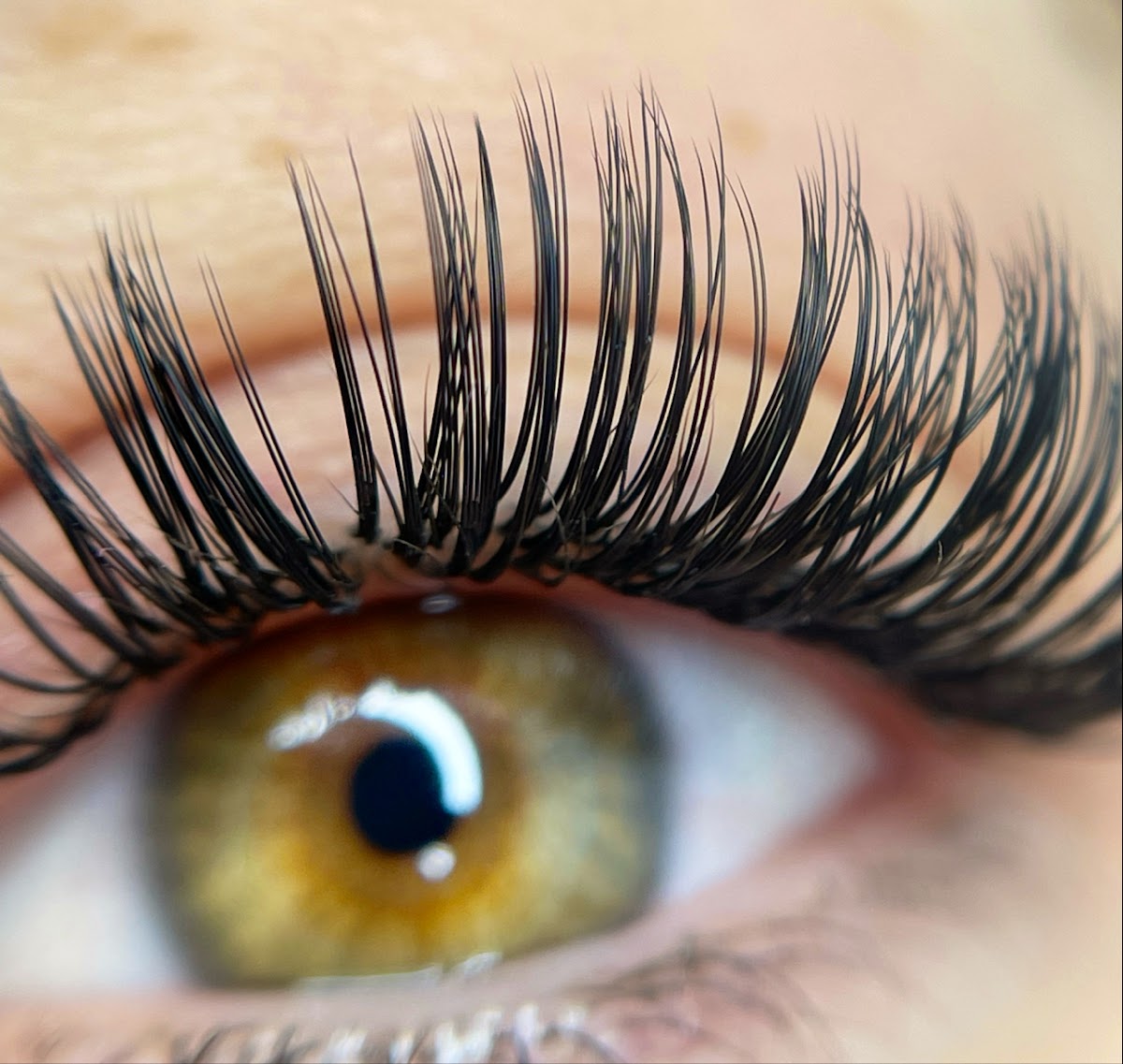 Dr.Lash