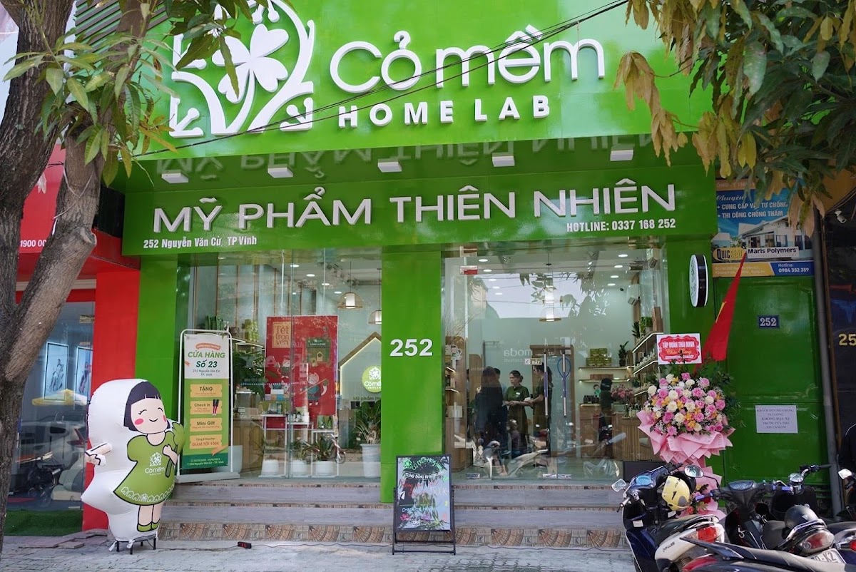 Co Mem Vinh