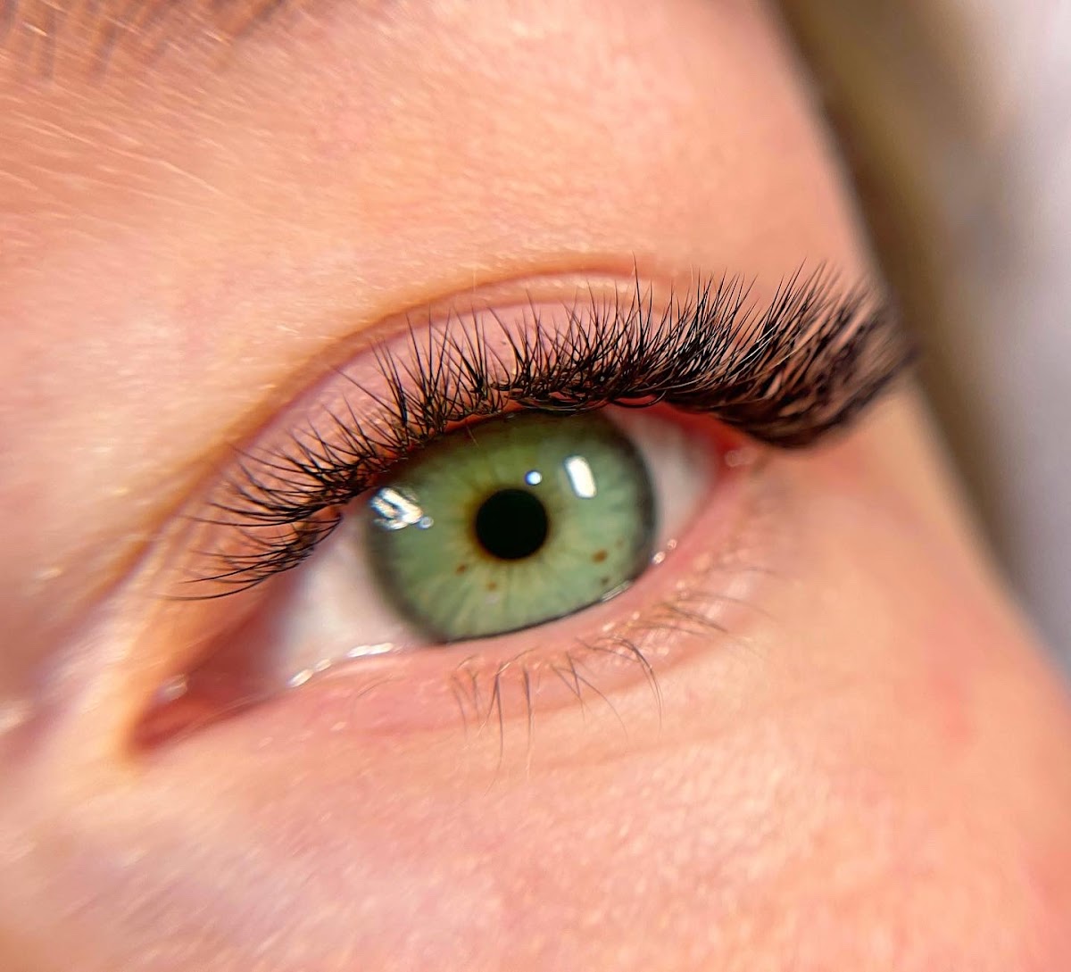 Lash Mama Studio