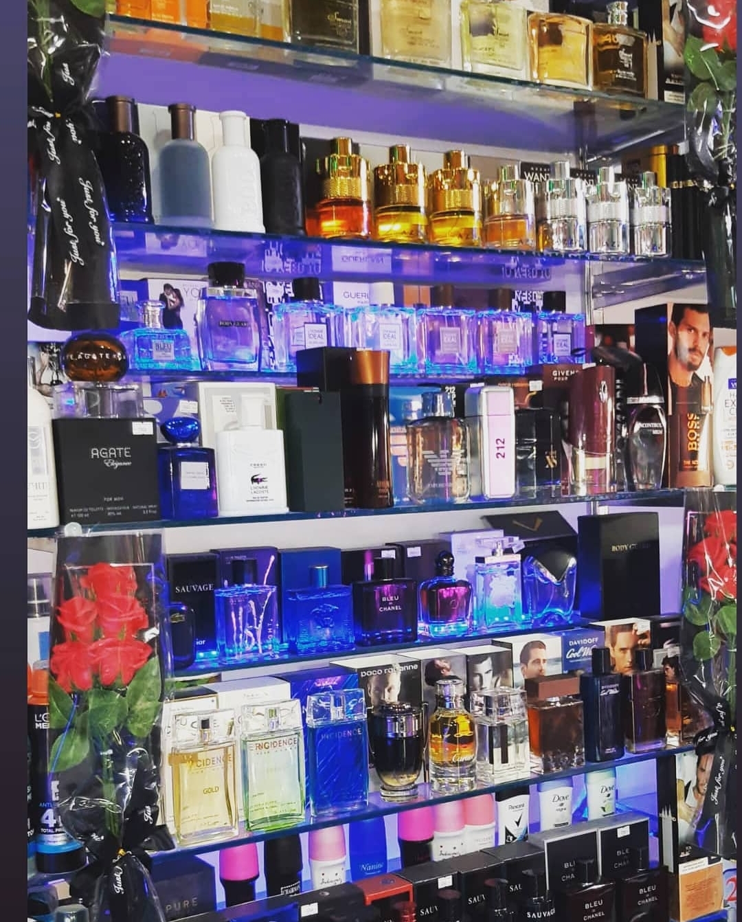Cosmetique Amine Galliano