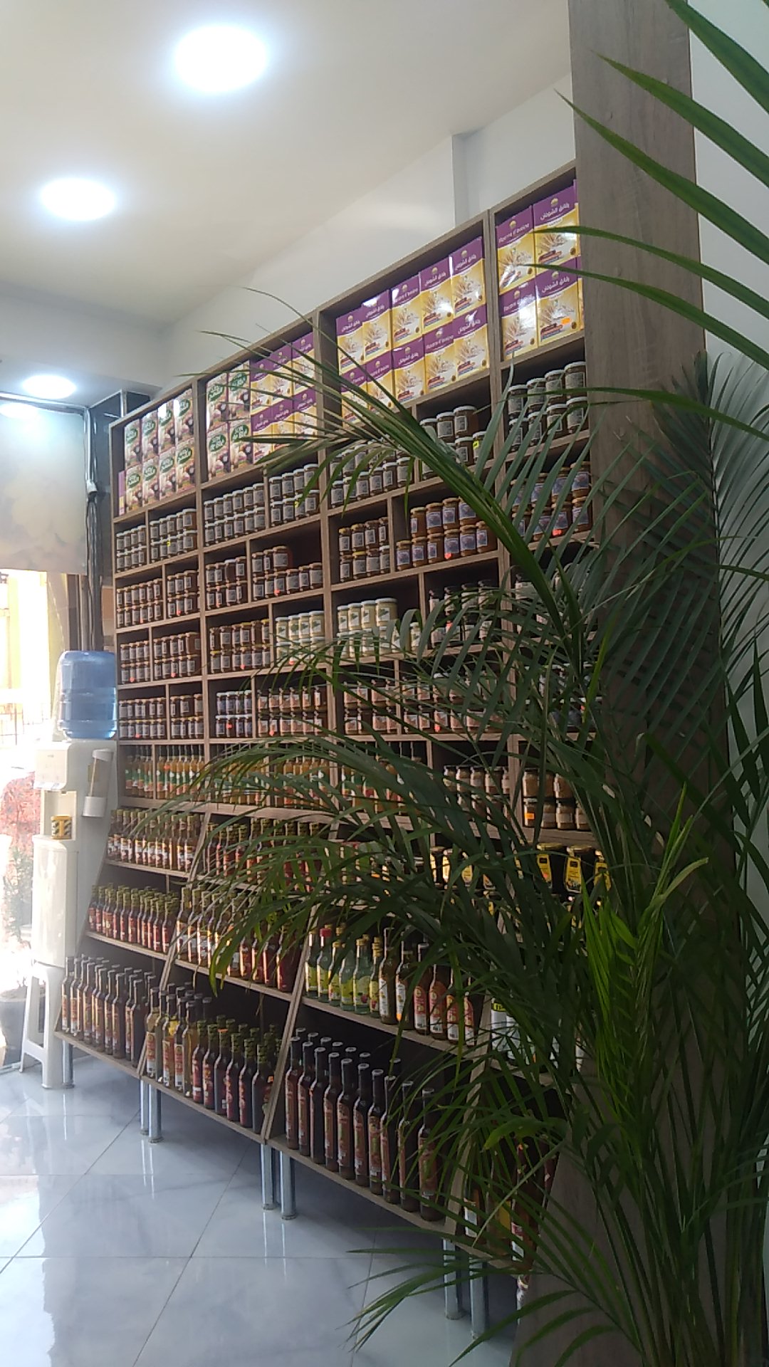 Al-Aseel 2 for Diet and Cosmetics