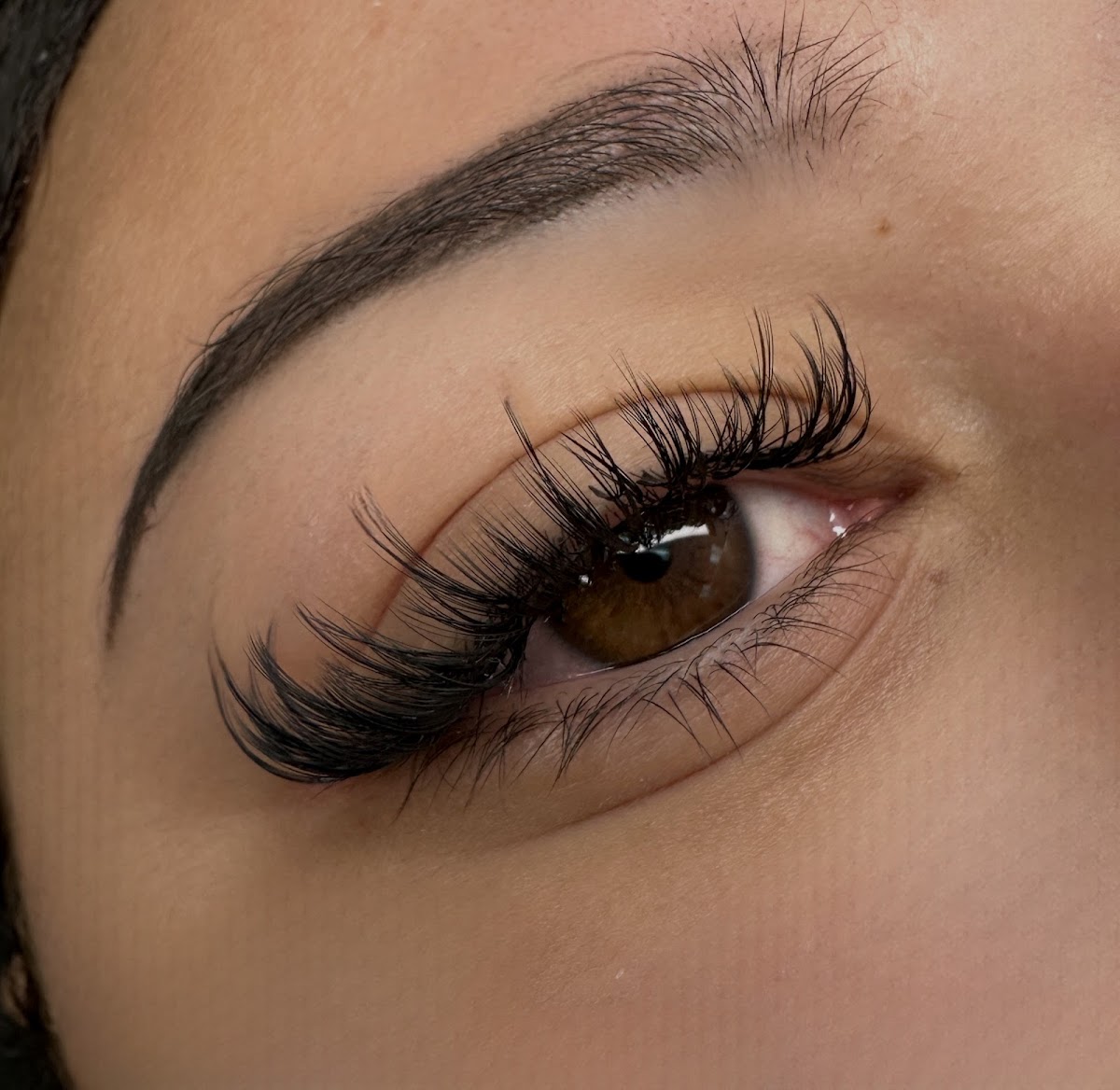 The Lash Girl