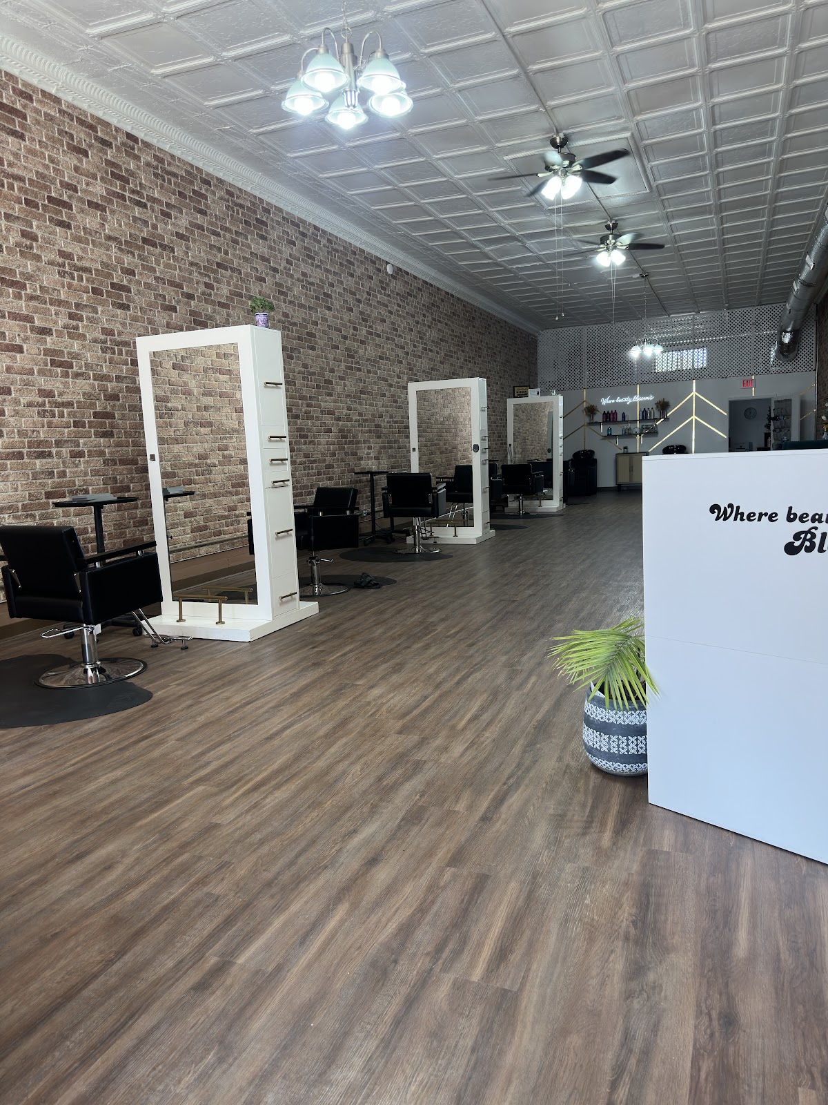 Blossom Hair Lounge