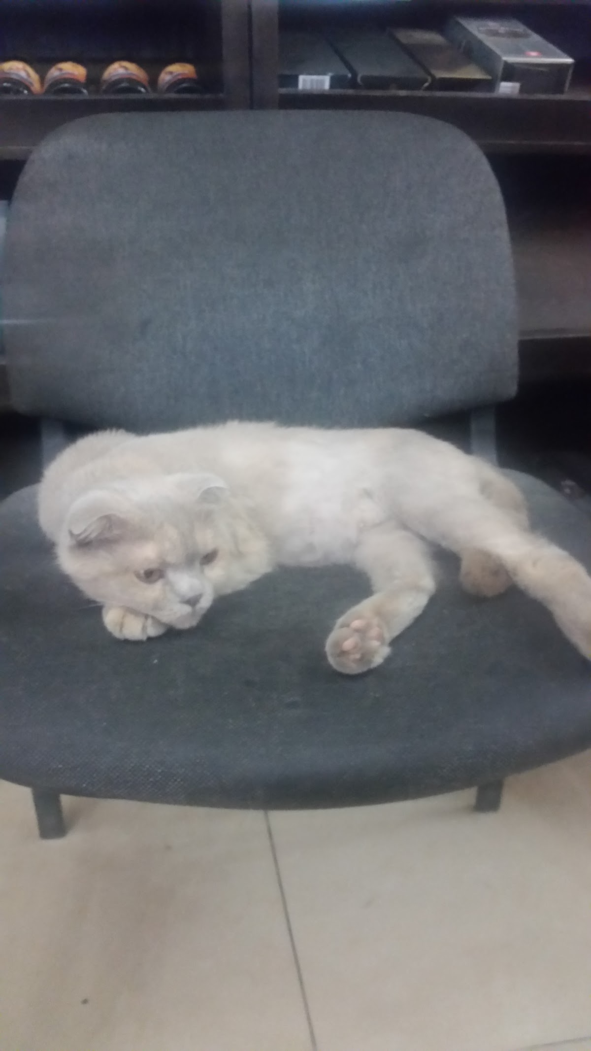 Wella-M