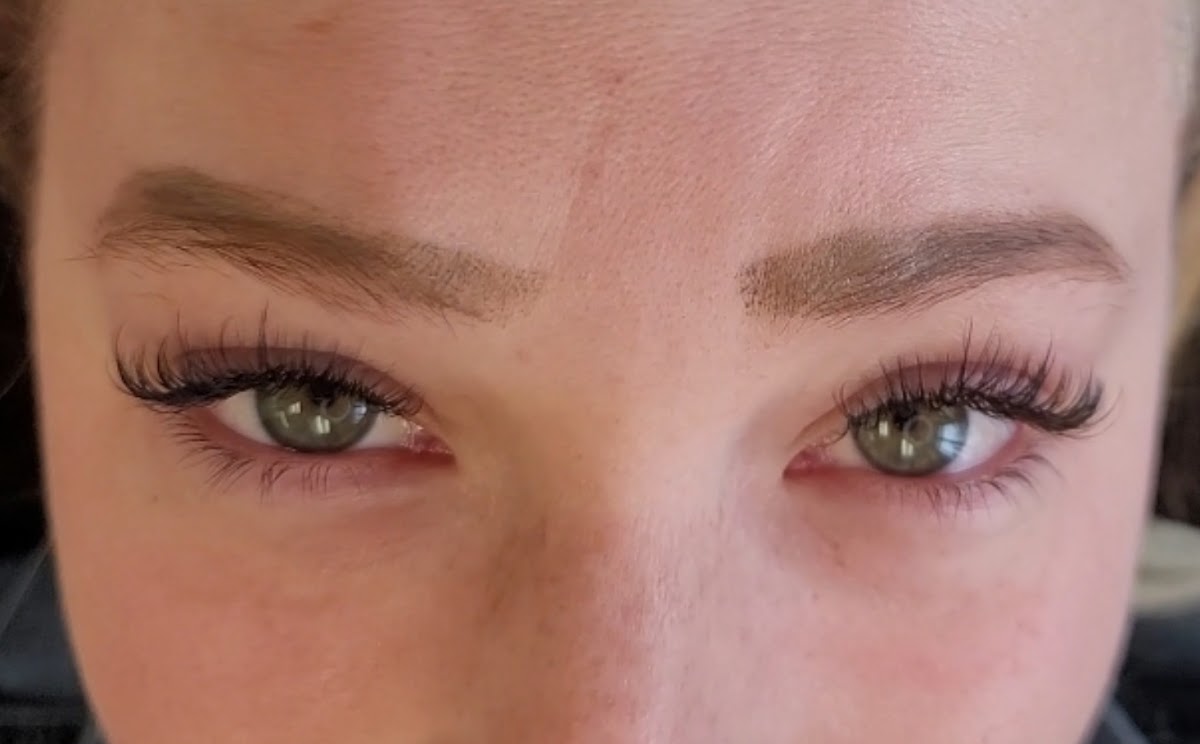 Fanned Lashes And Brows by Rachel
