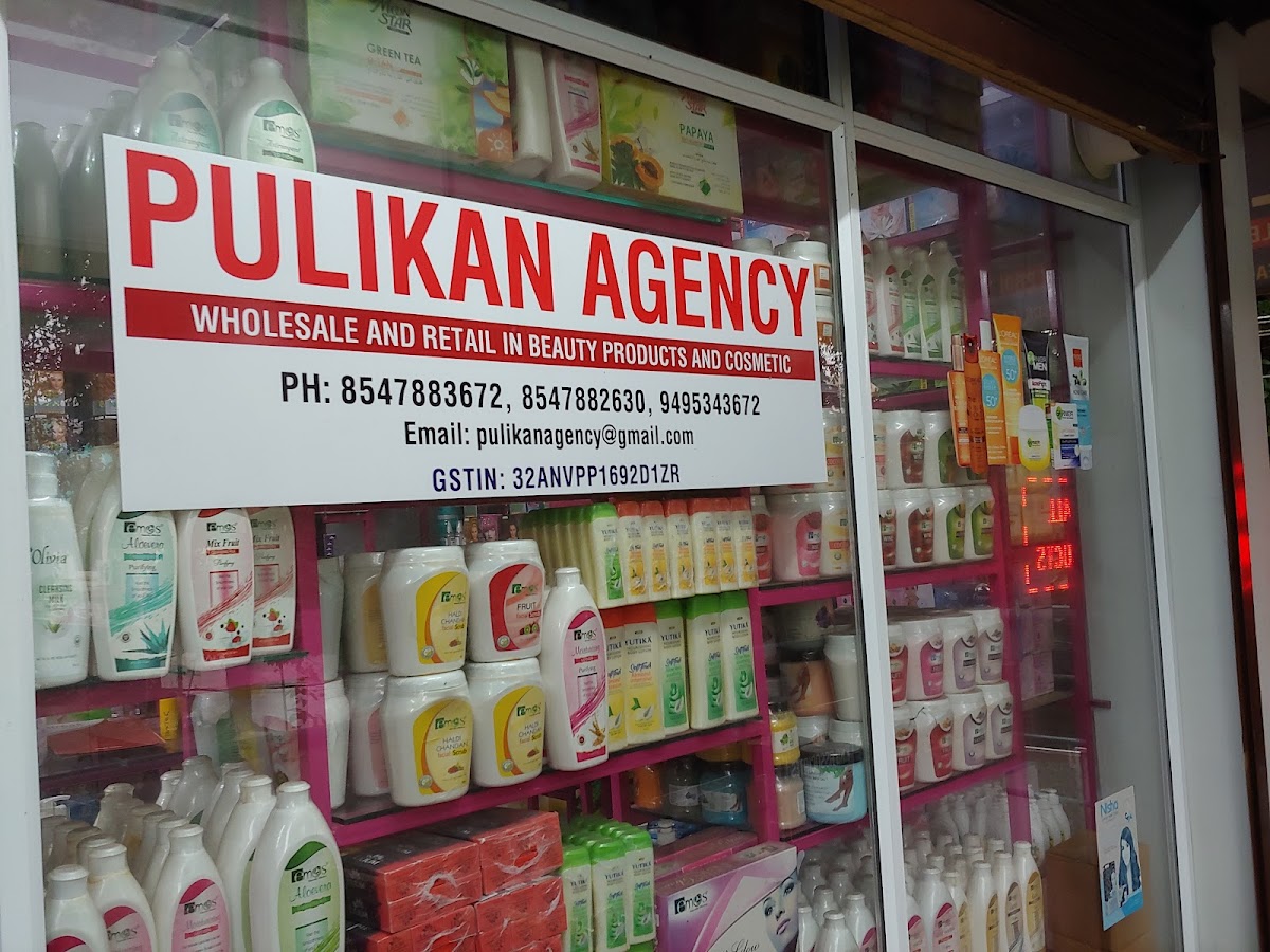Pulikan Agency
