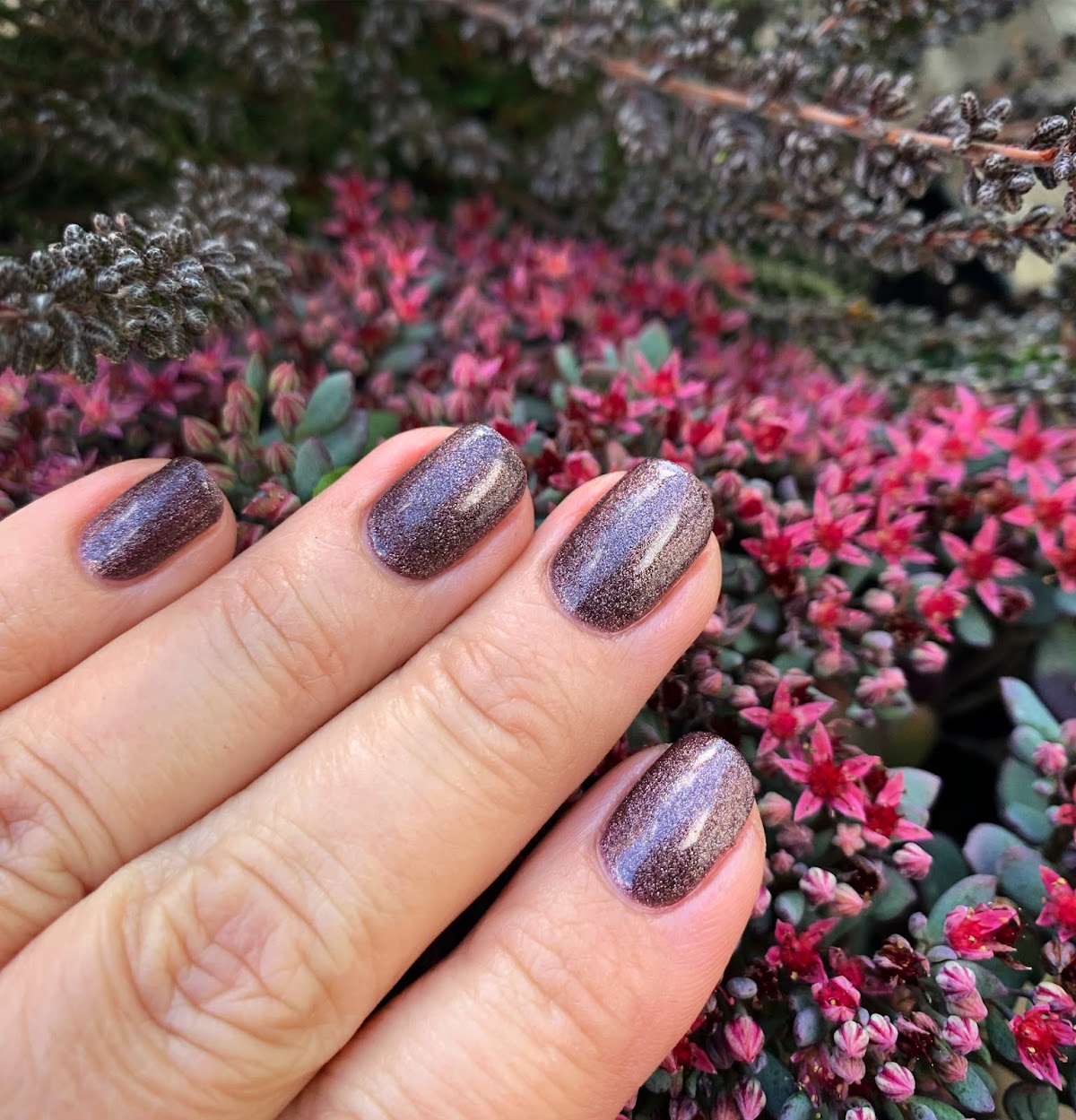 Studio M Nails
