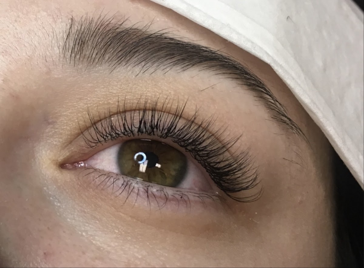 Lash Brow Sugar