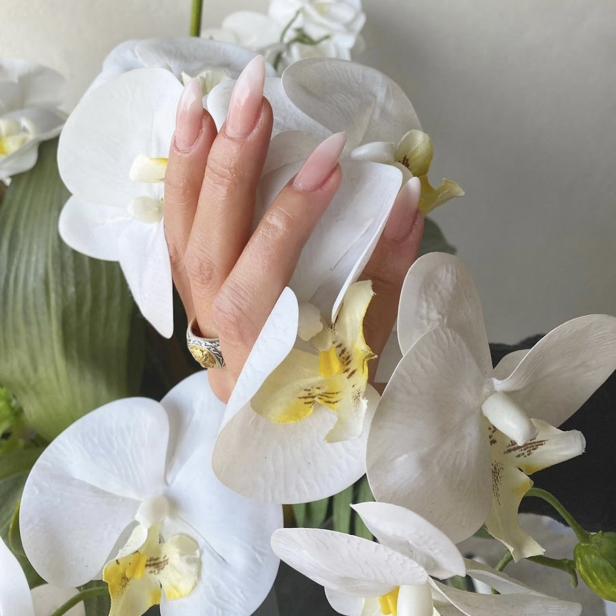 Fida-nails Beauty studio