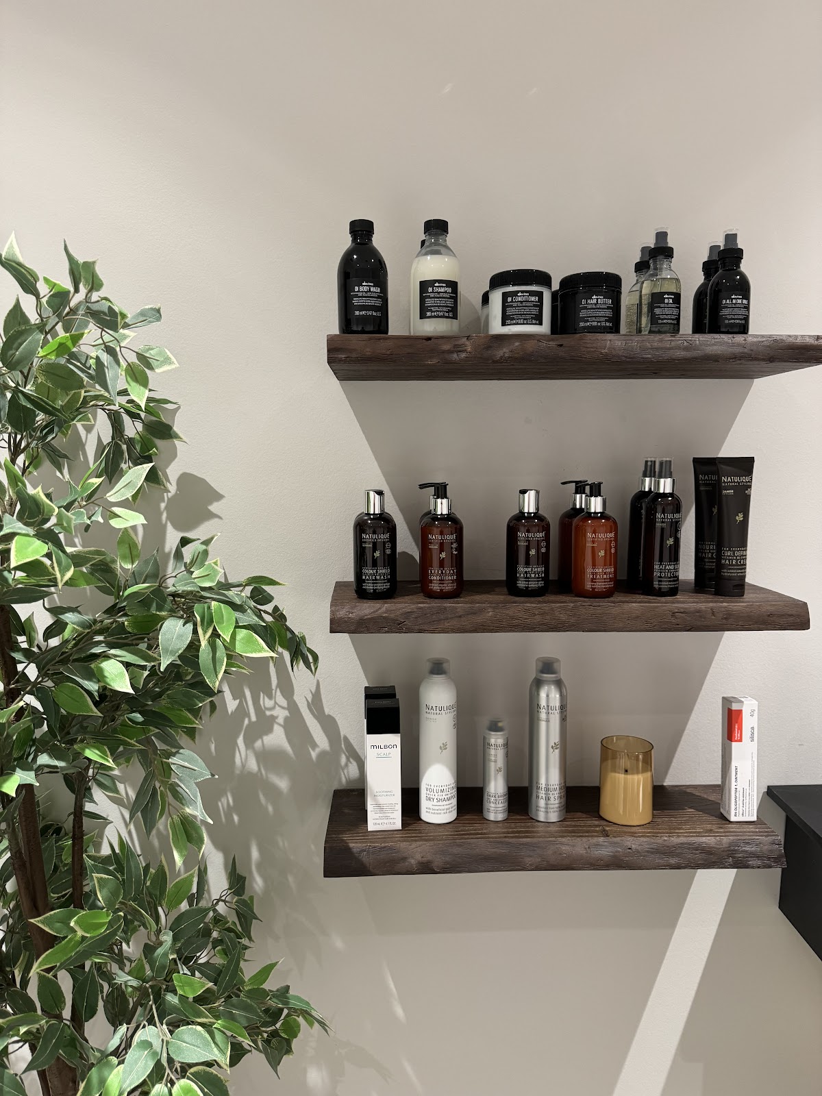 Halo Head Spa Coppell