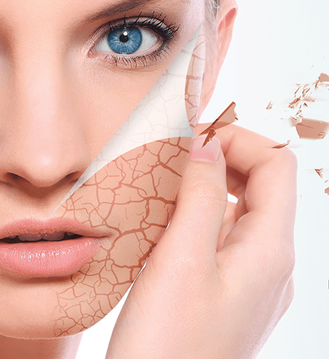 Hoitola Face & Body