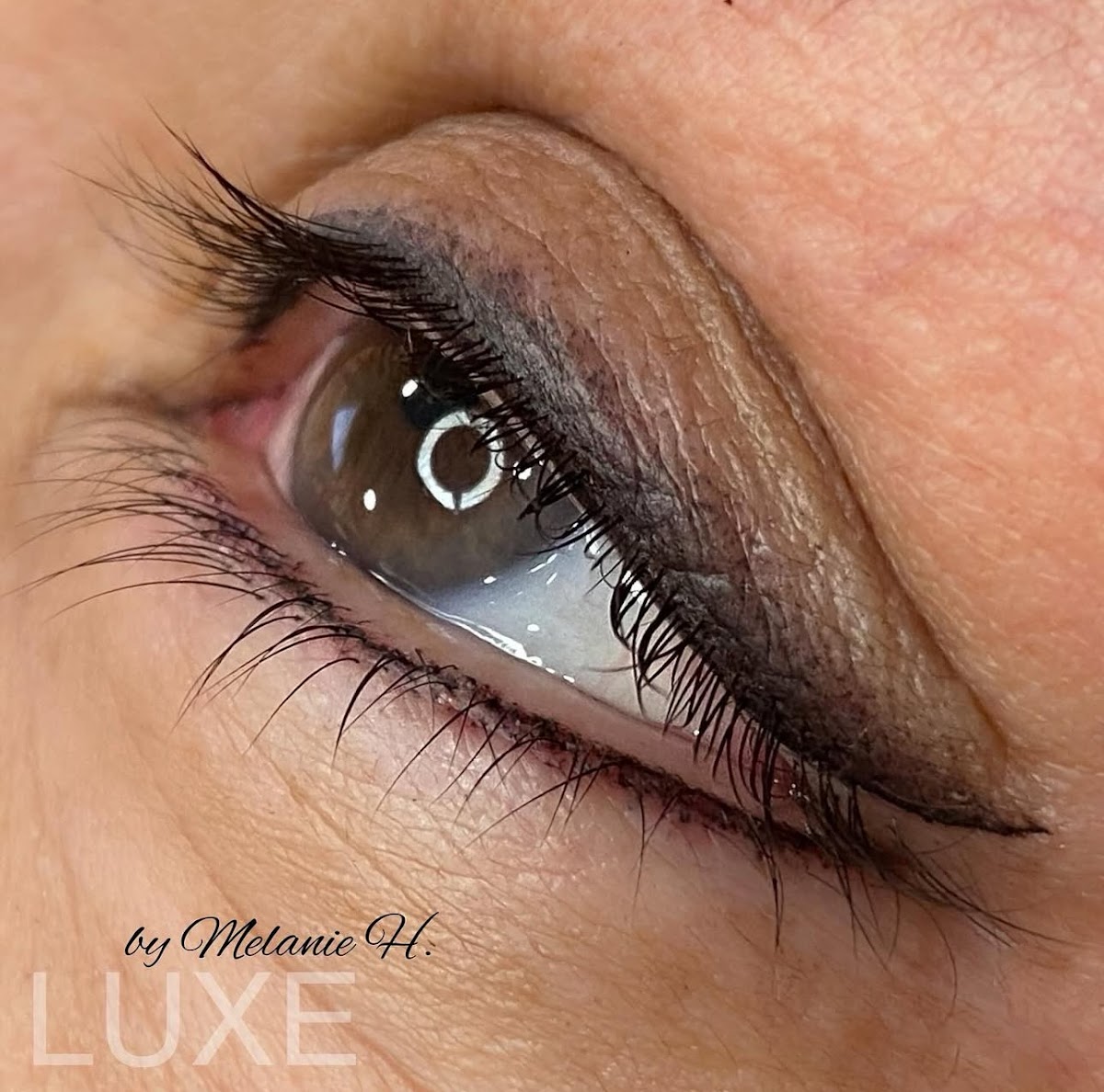Luxe Artistry Studio
