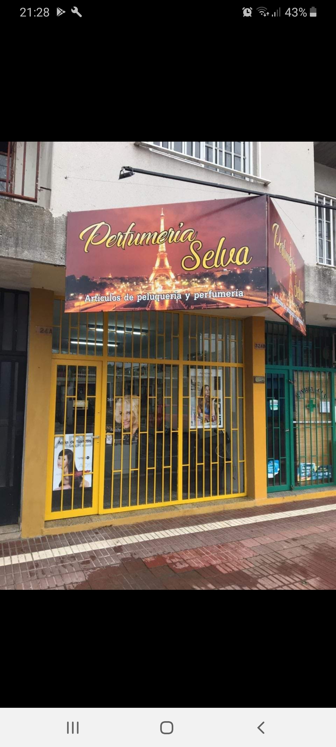 Perfumeria Selva Primera Junta