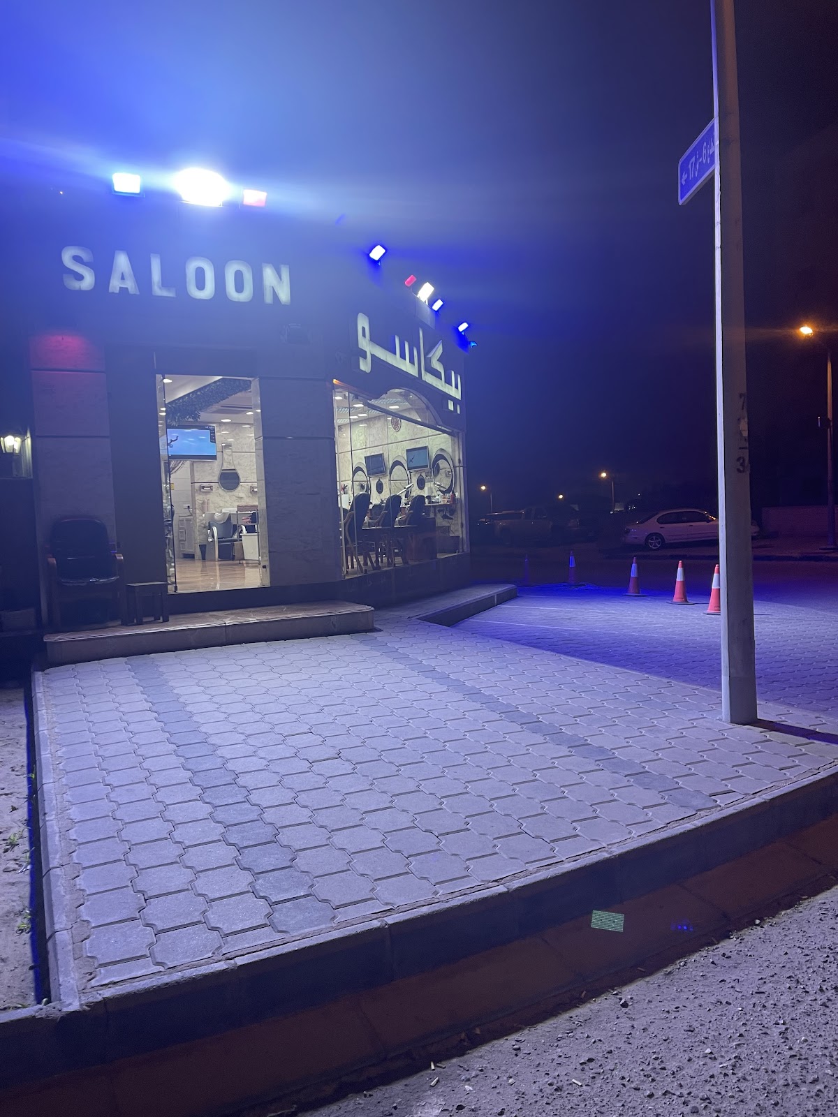 Picasso salon