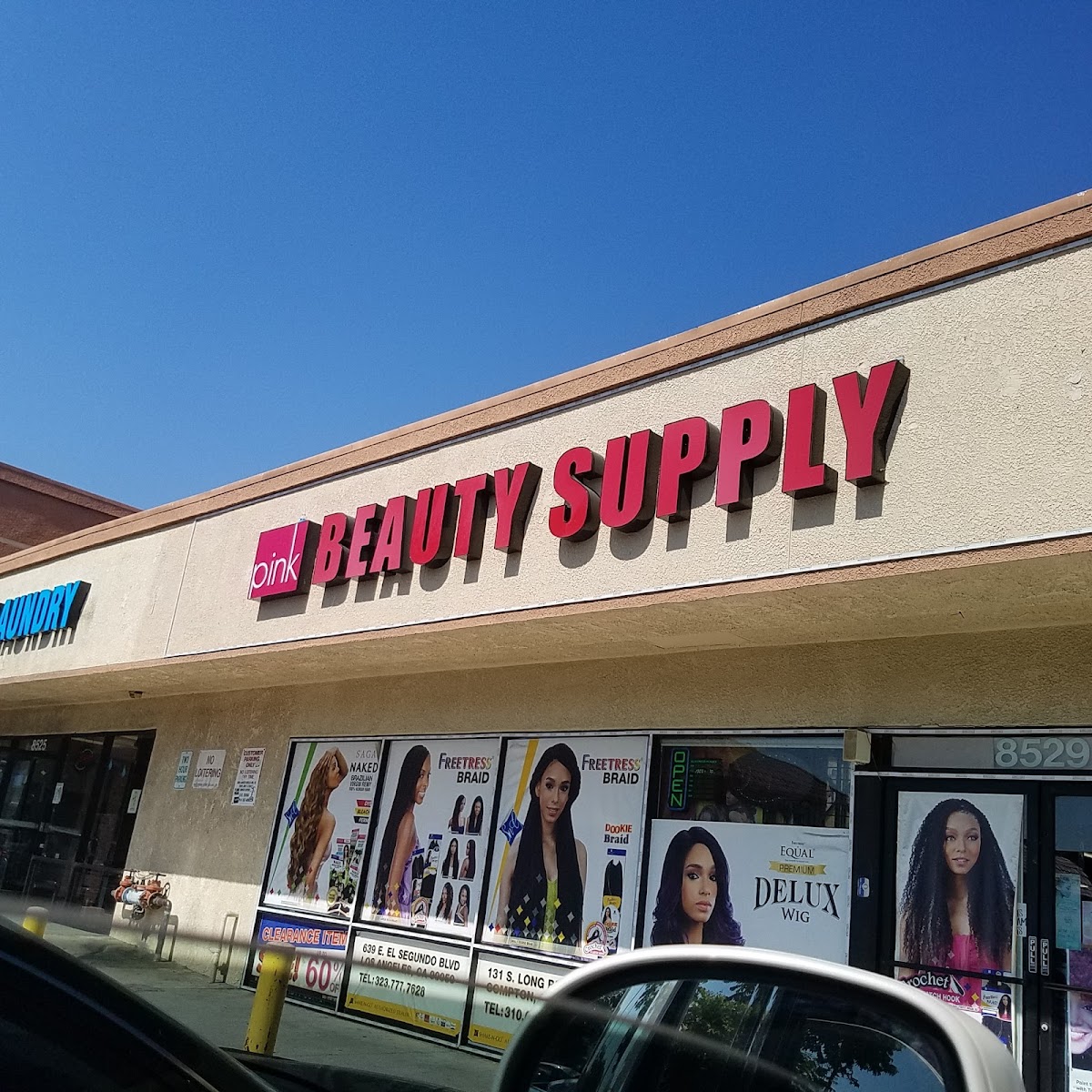 Pink Beauty Supply Bellflower