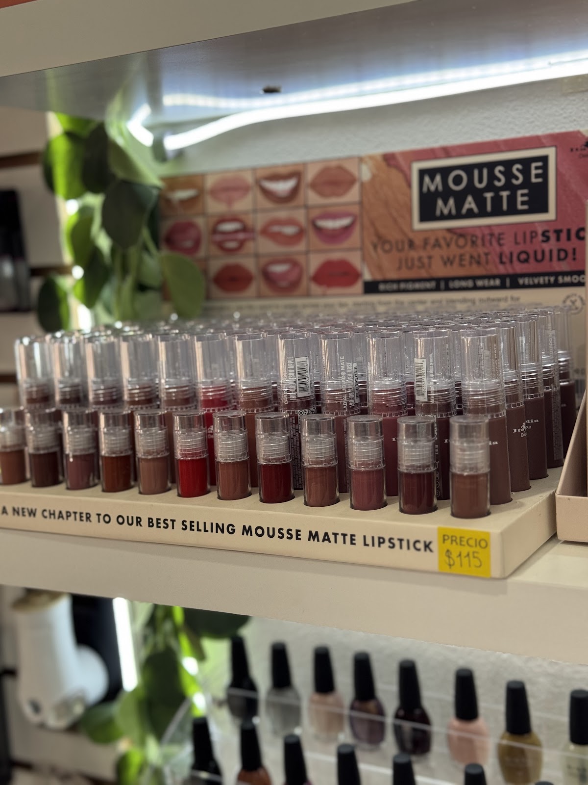 Monder K-Beauty