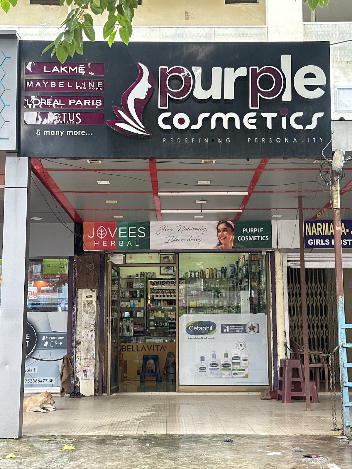 Purple Cosmetic Gallery & Bags