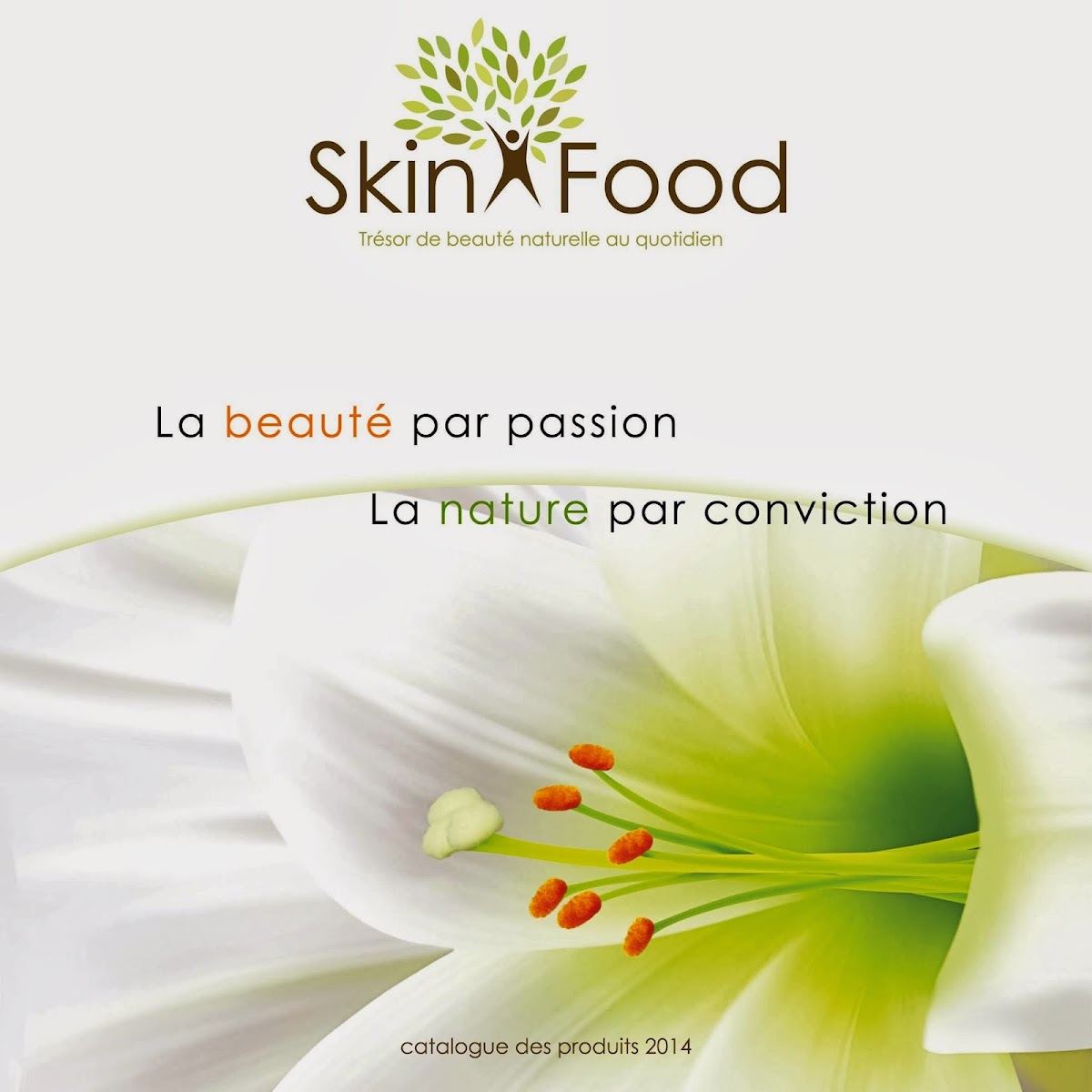 SkinFood Morocco