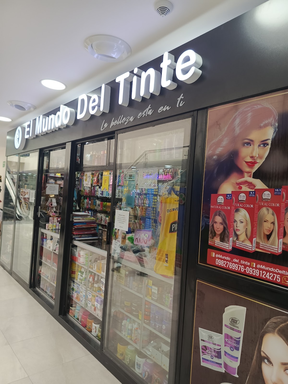 El Mundo Del Tinte