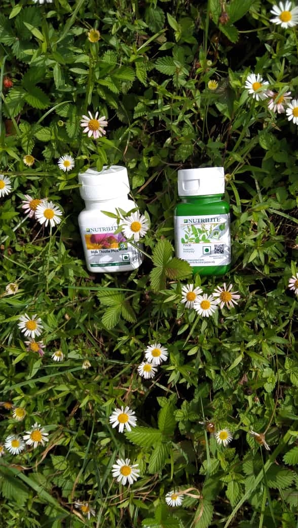 Berhampore Amway Consultant